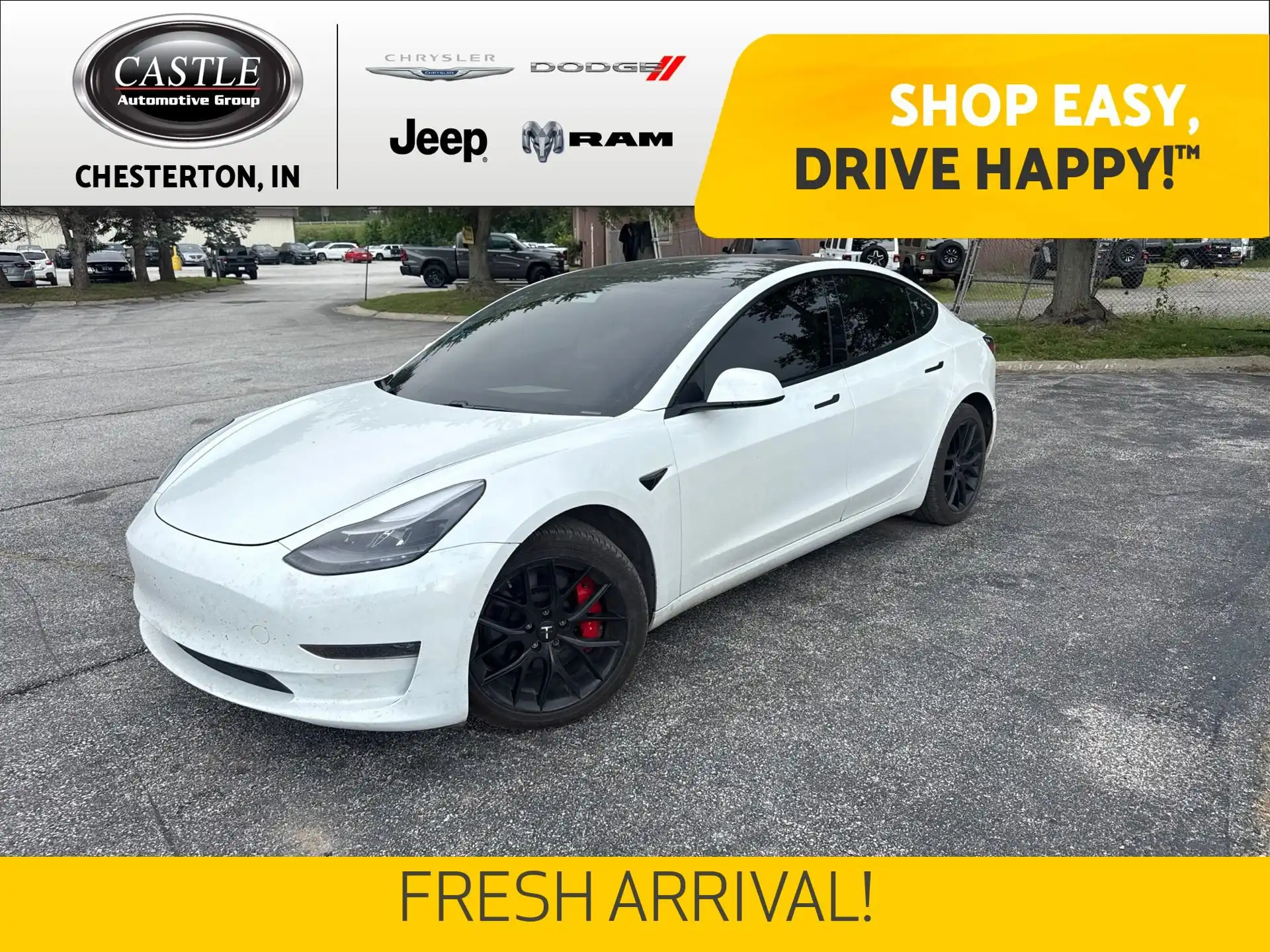 2021 Tesla Model 3 Performance Dual Motor AWD's photo