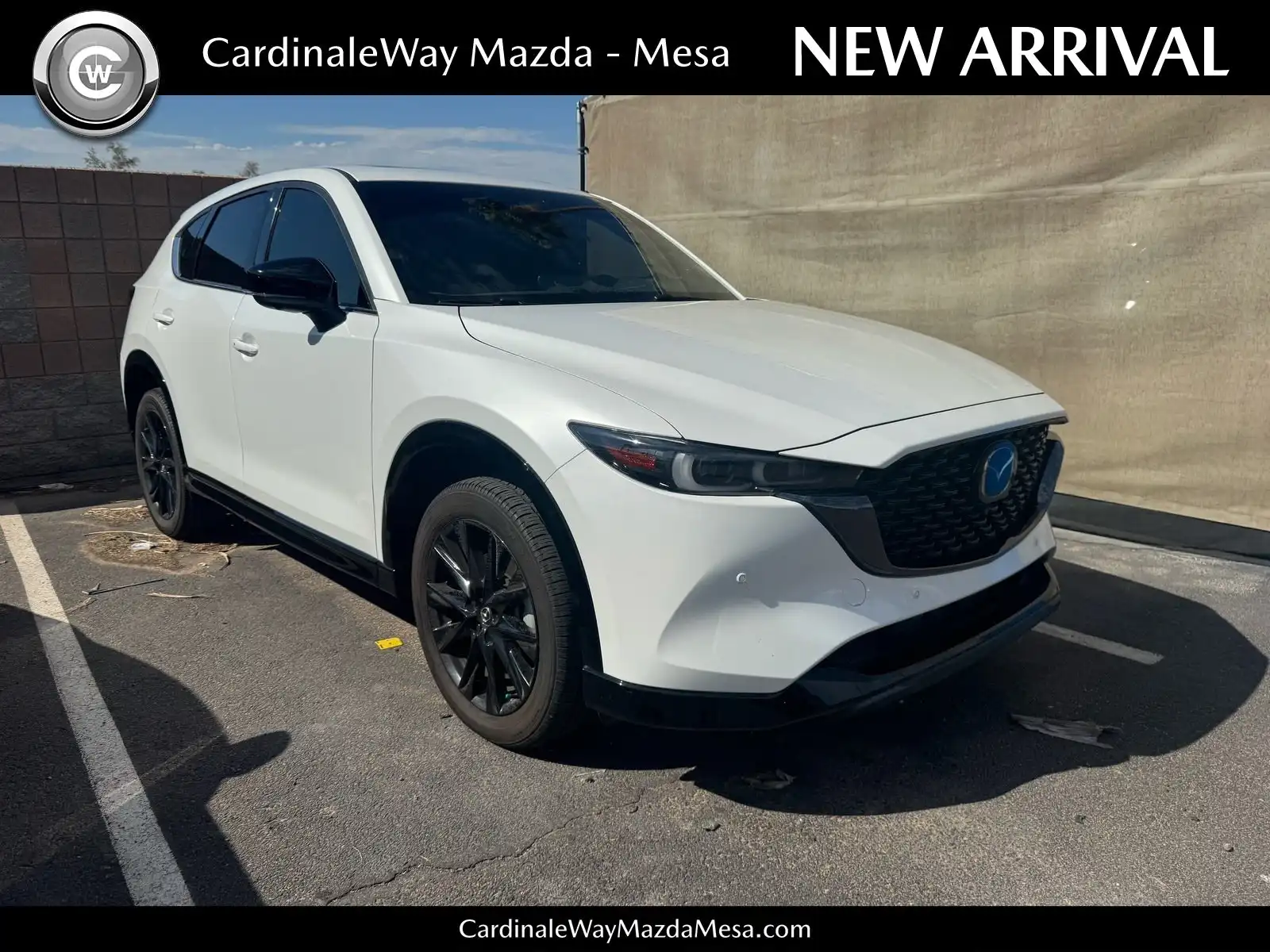 2025 Mazda CX-5 Turbo AWD Auto Carbon's photo