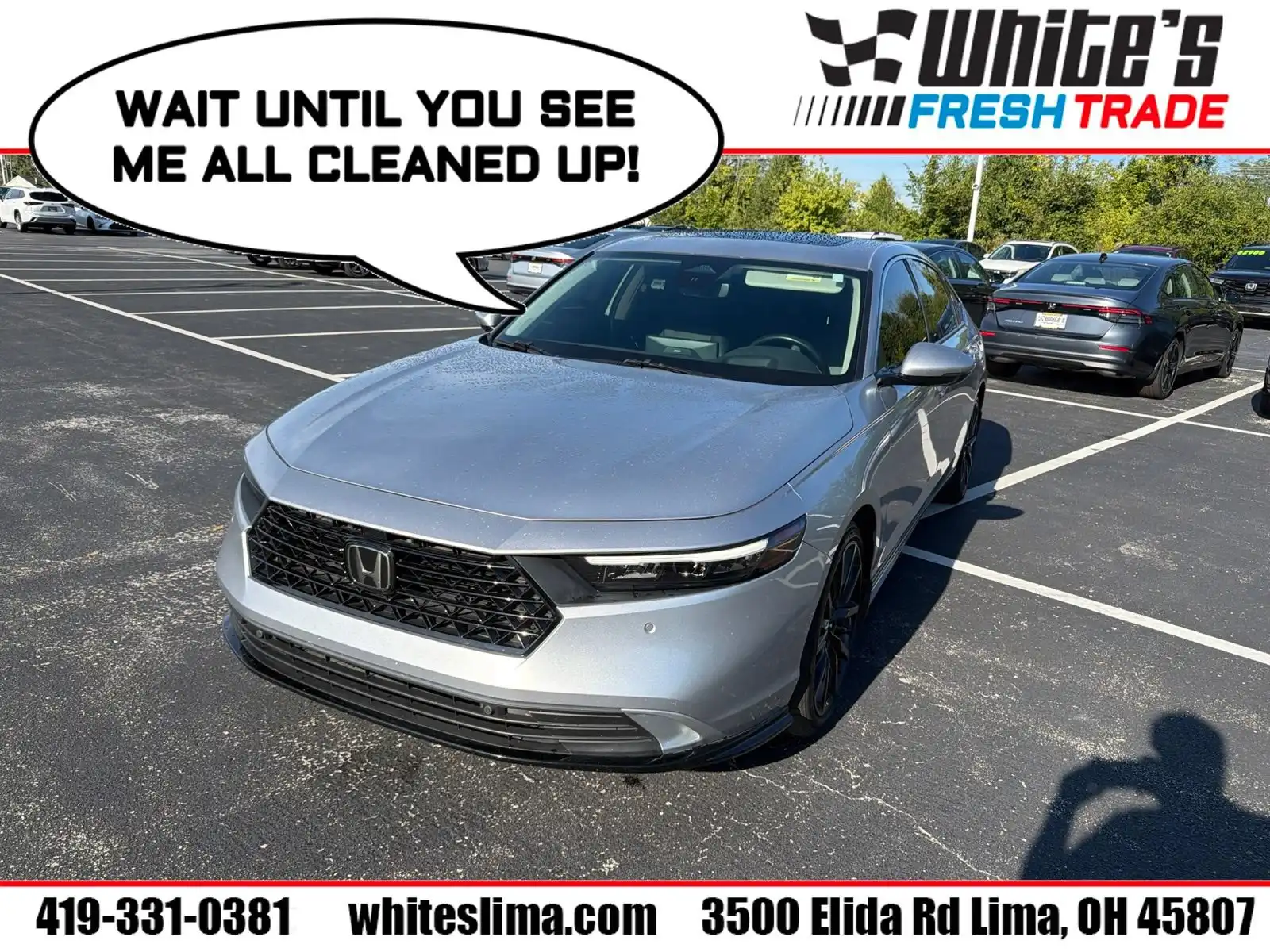 2024 Honda Accord Hybrid Touring's photo