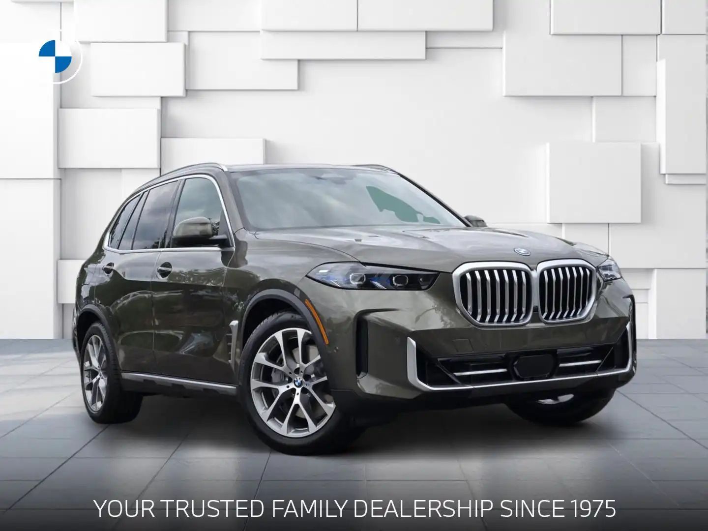 2026 BMW X5 xDrive50e's photo