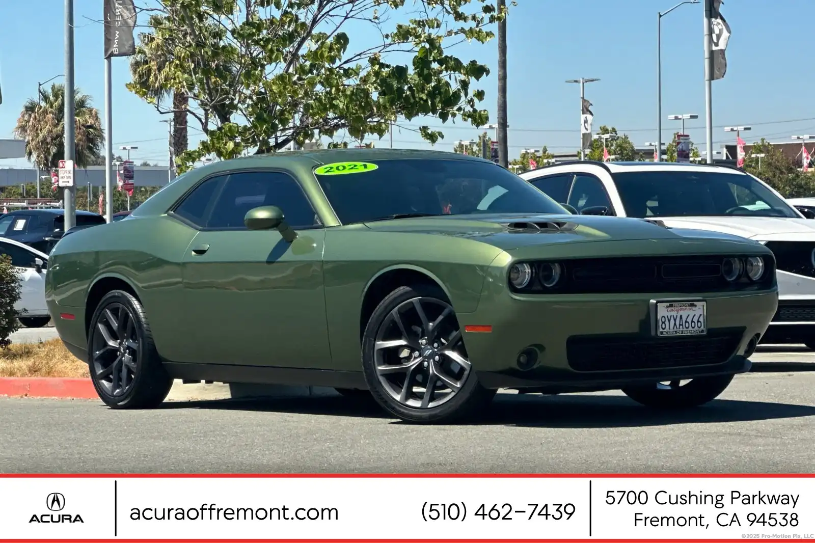 2021 Dodge Challenger SXT Auto's photo