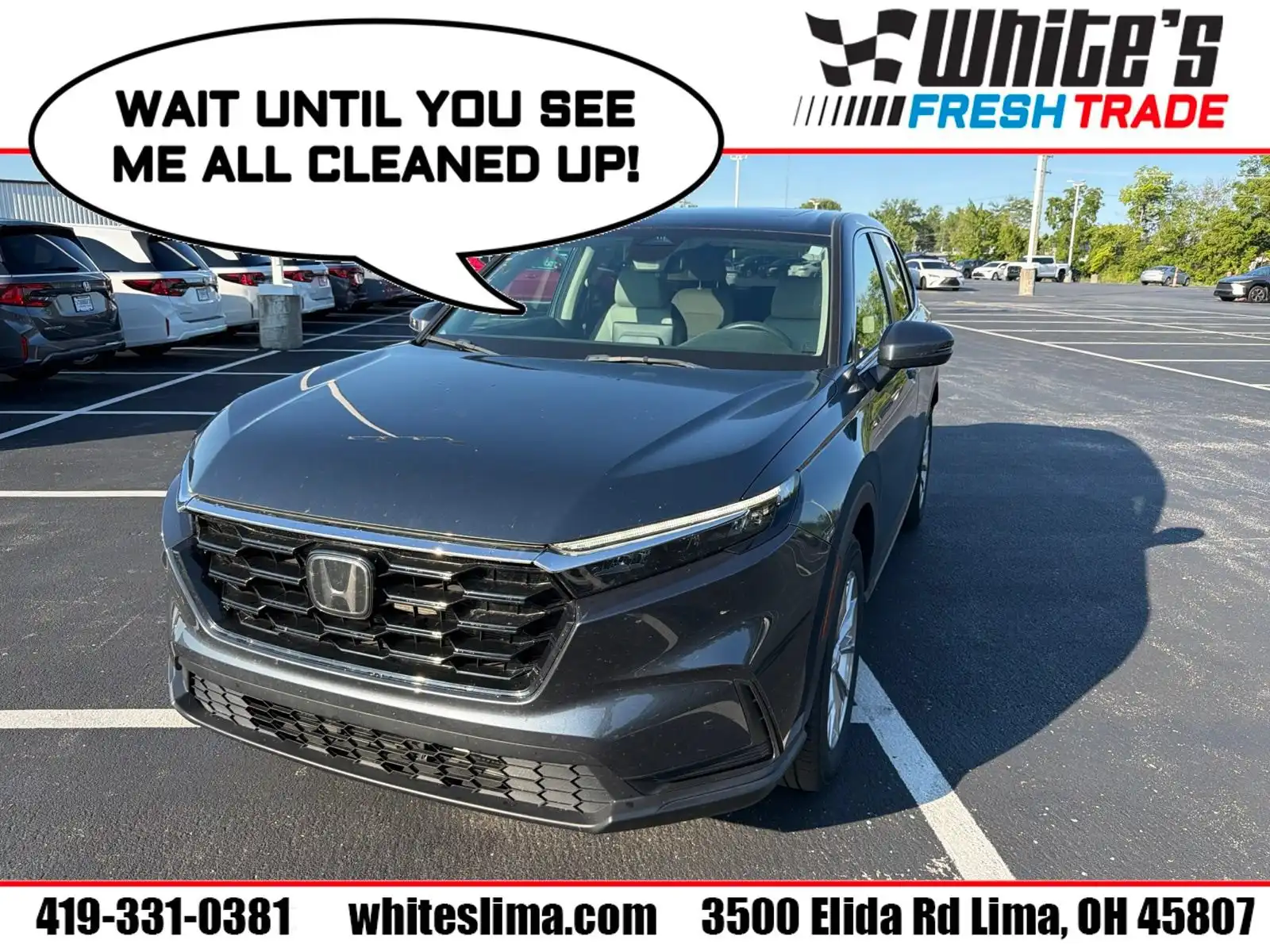 2024 Honda CR-V EX AWD's photo