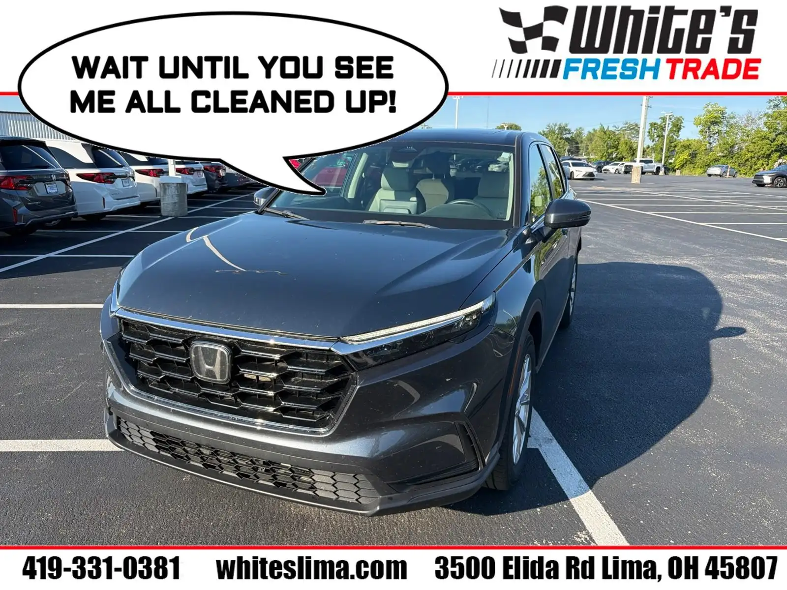2024 Honda CR-V EX AWD's photo