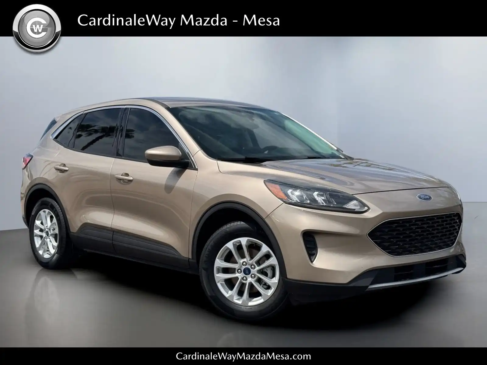 2021 Ford Escape SE FWD's photo