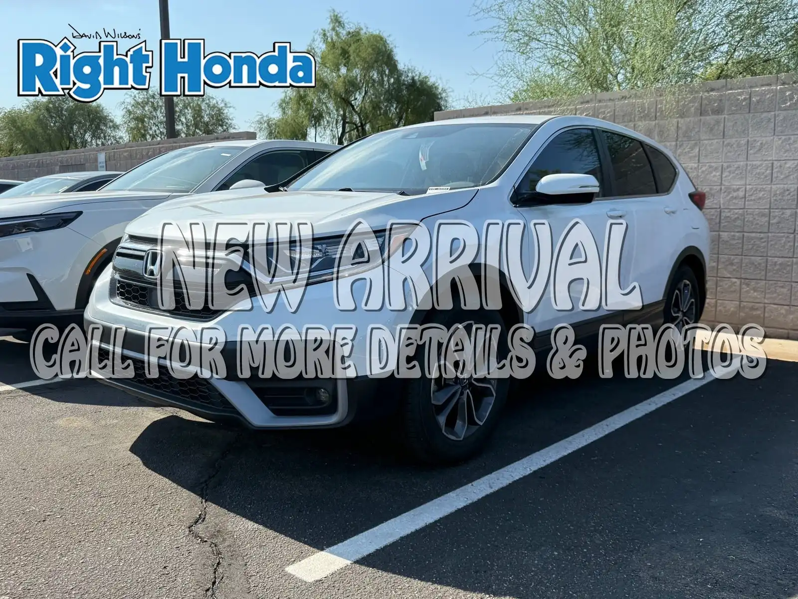 2021 Honda CR-V EX-L 2WD's photo