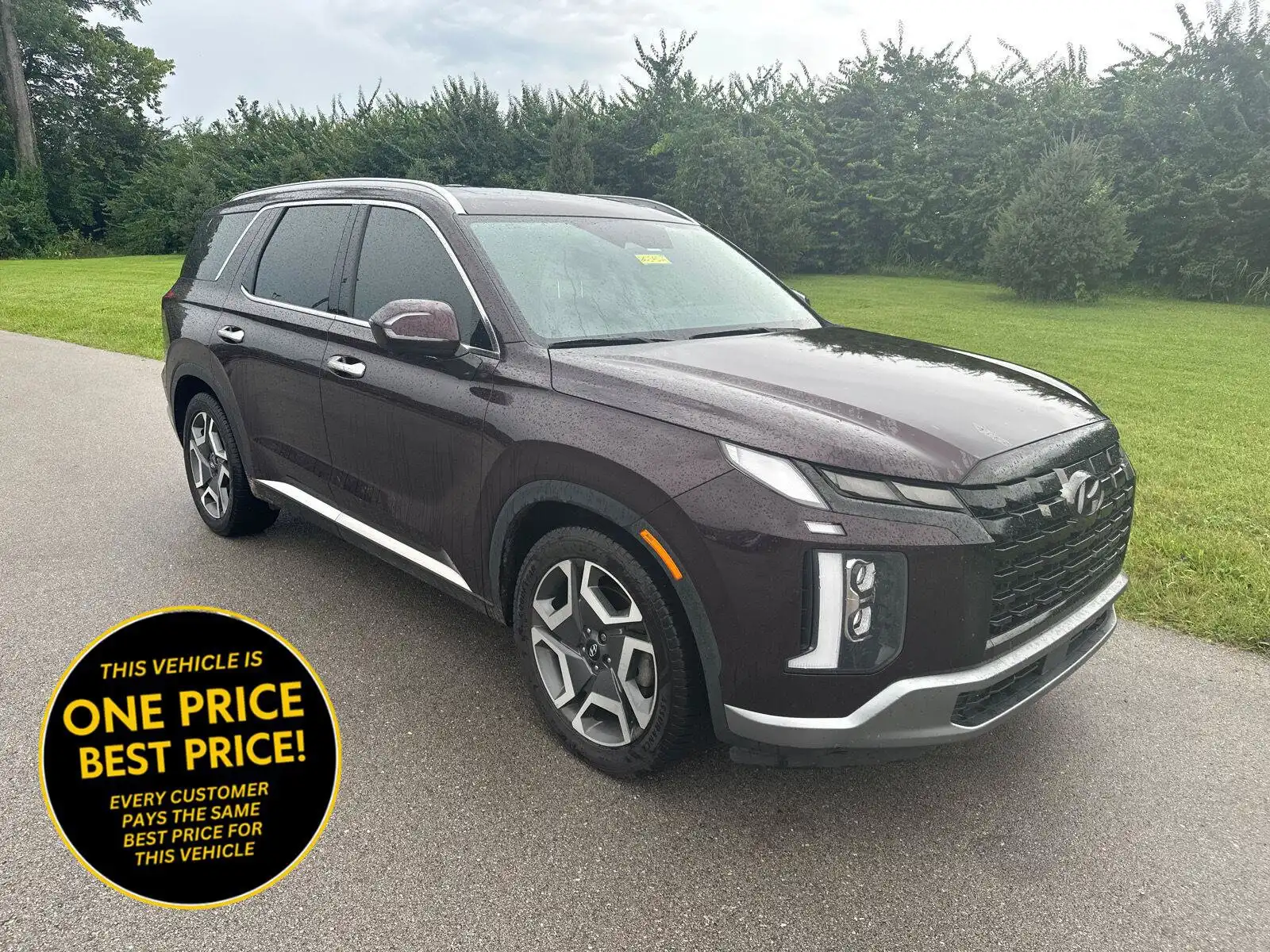 2023 Hyundai Palisade Limited AWD's photo