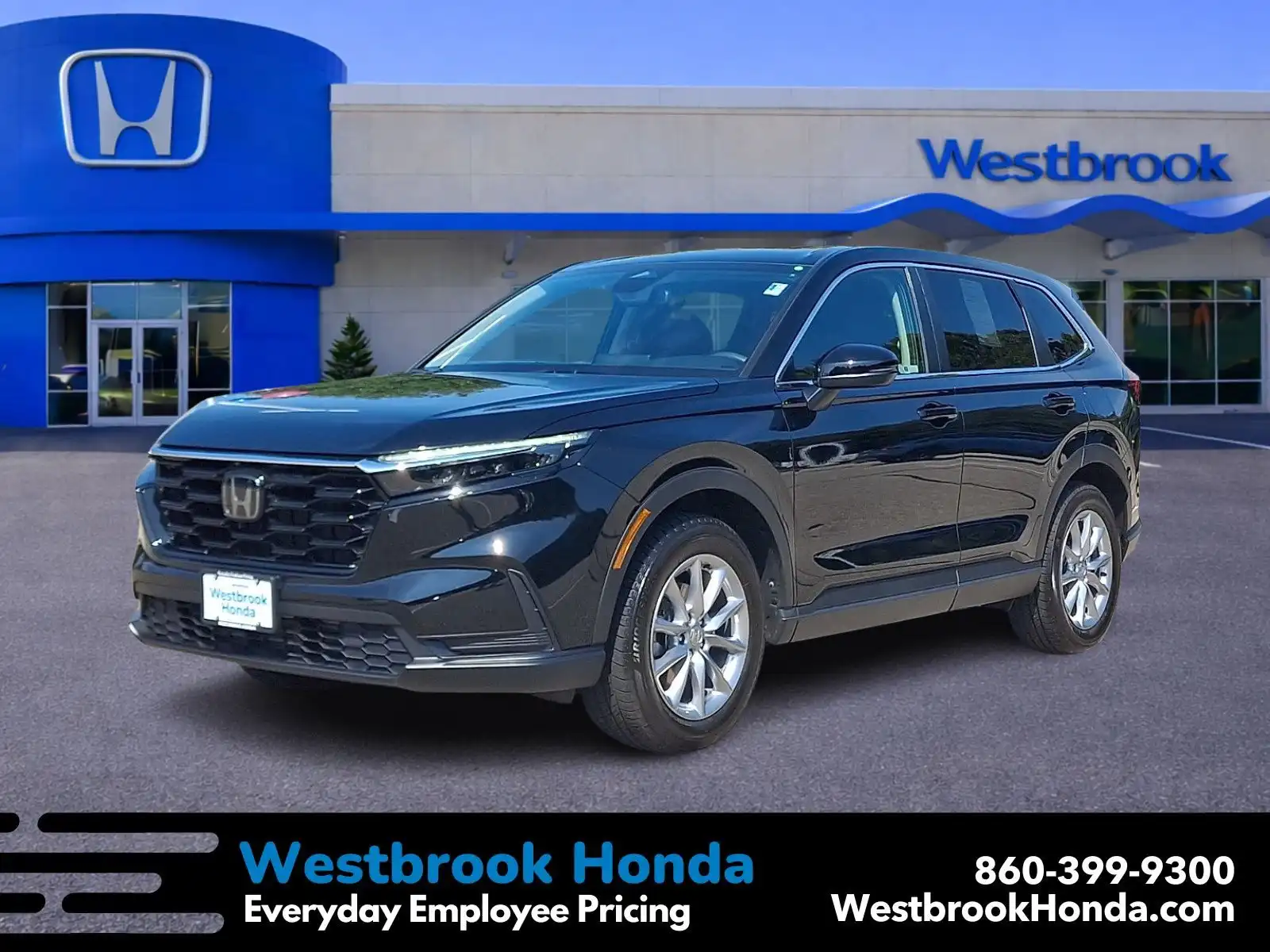 2026 Honda CR-V EX AWD's photo
