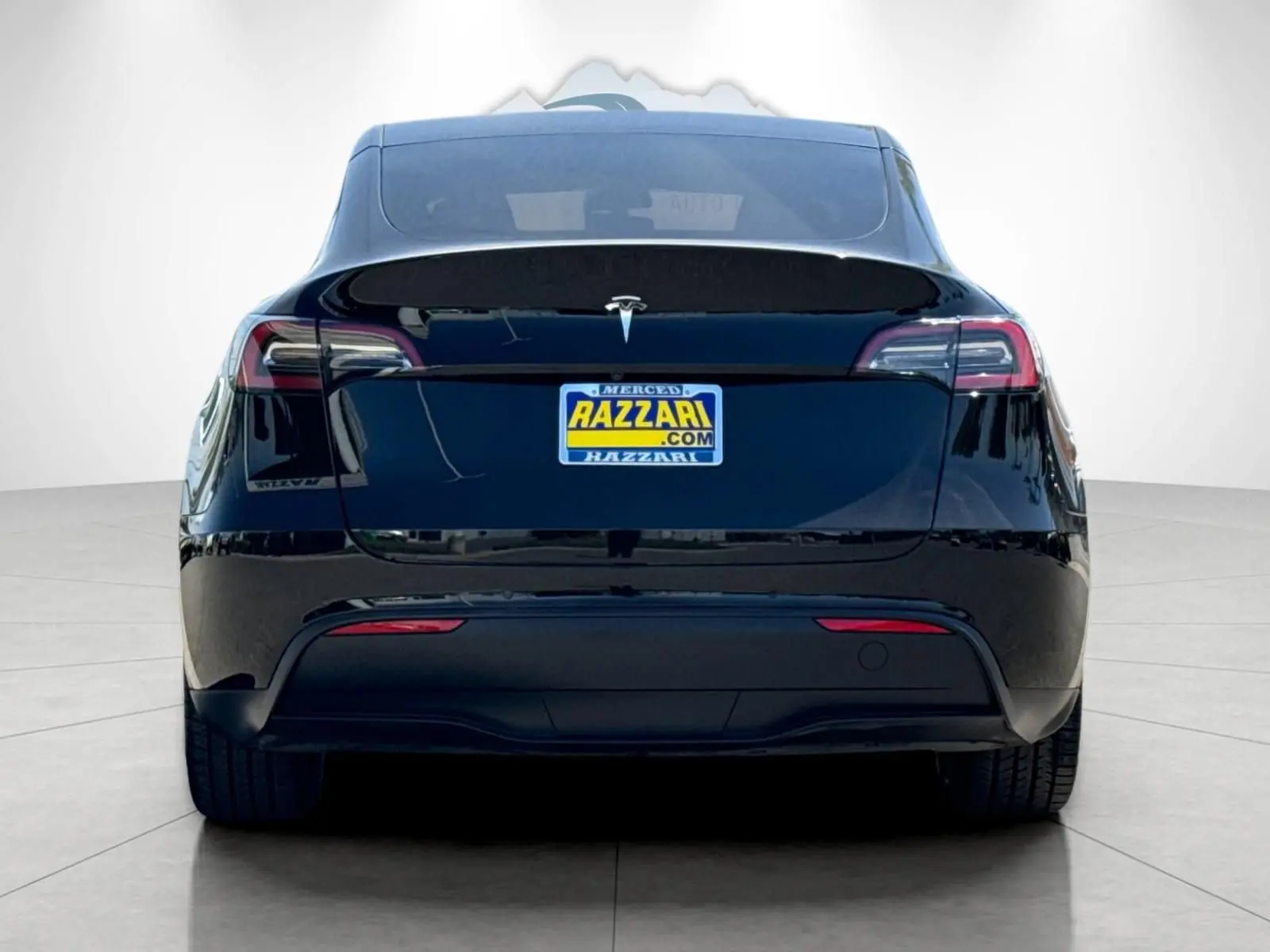 2022 Tesla Model Y Long Range Dual Motor AWD photo 4
