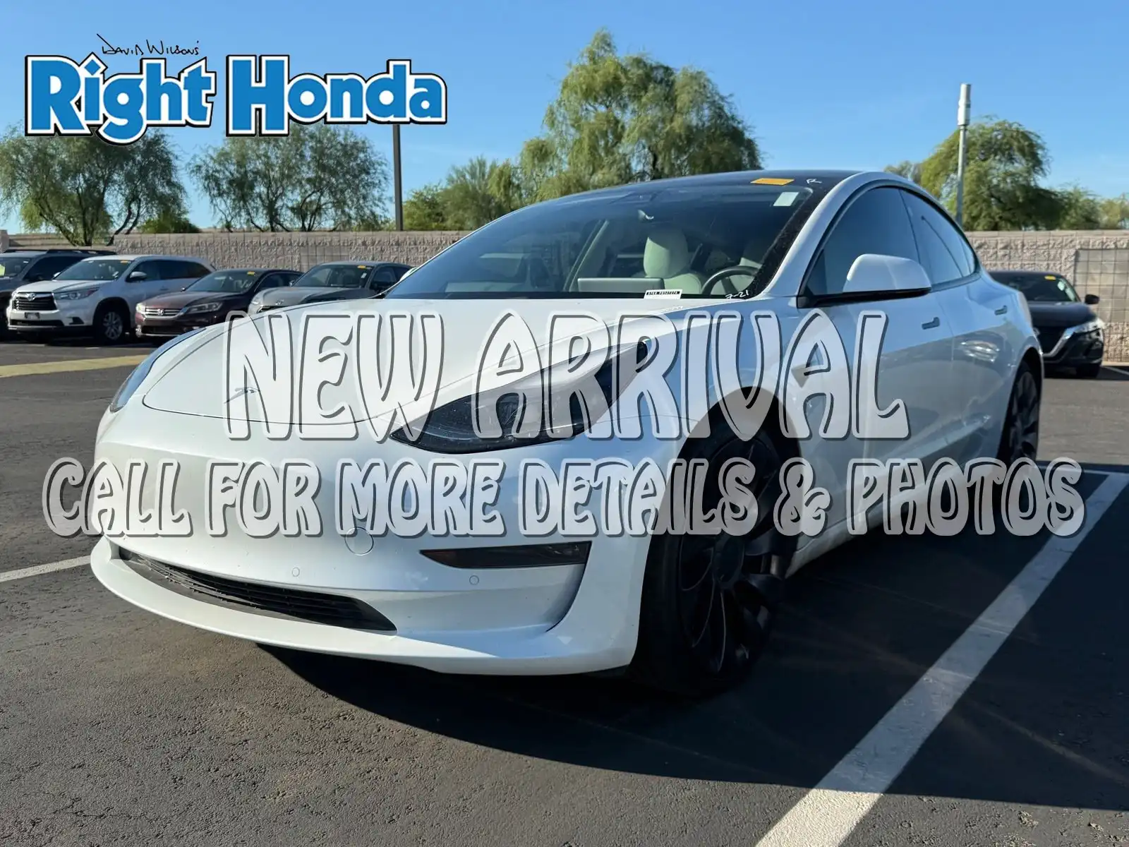 2021 Tesla Model 3 Performance Dual Motor All-Wheel Drive's photo
