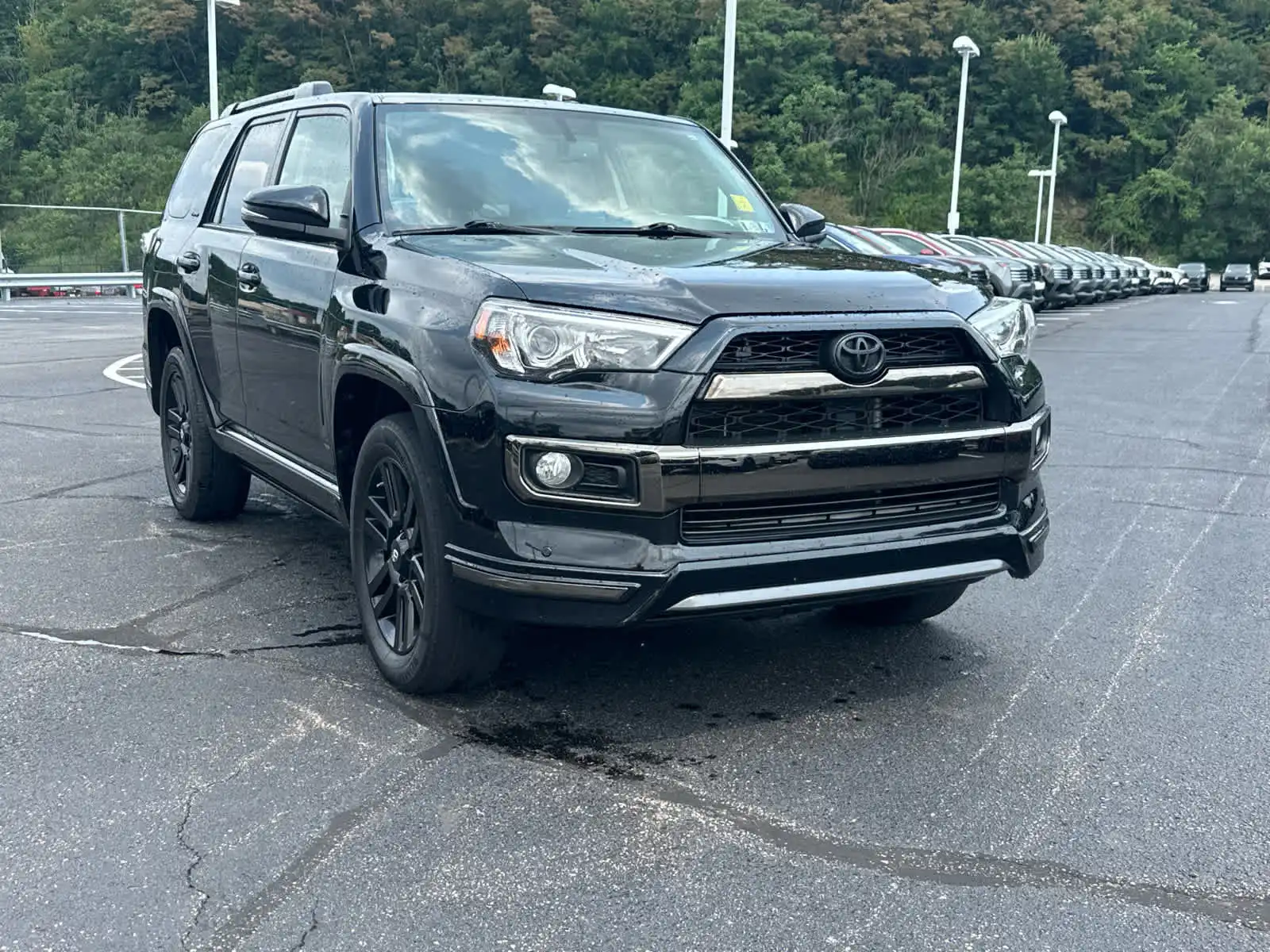 2019 Toyota 4Runner Night Shade 4x4 V6's photo