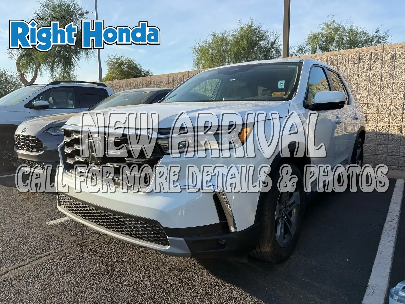 2025 Honda Pilot EX-L 2WD's photo