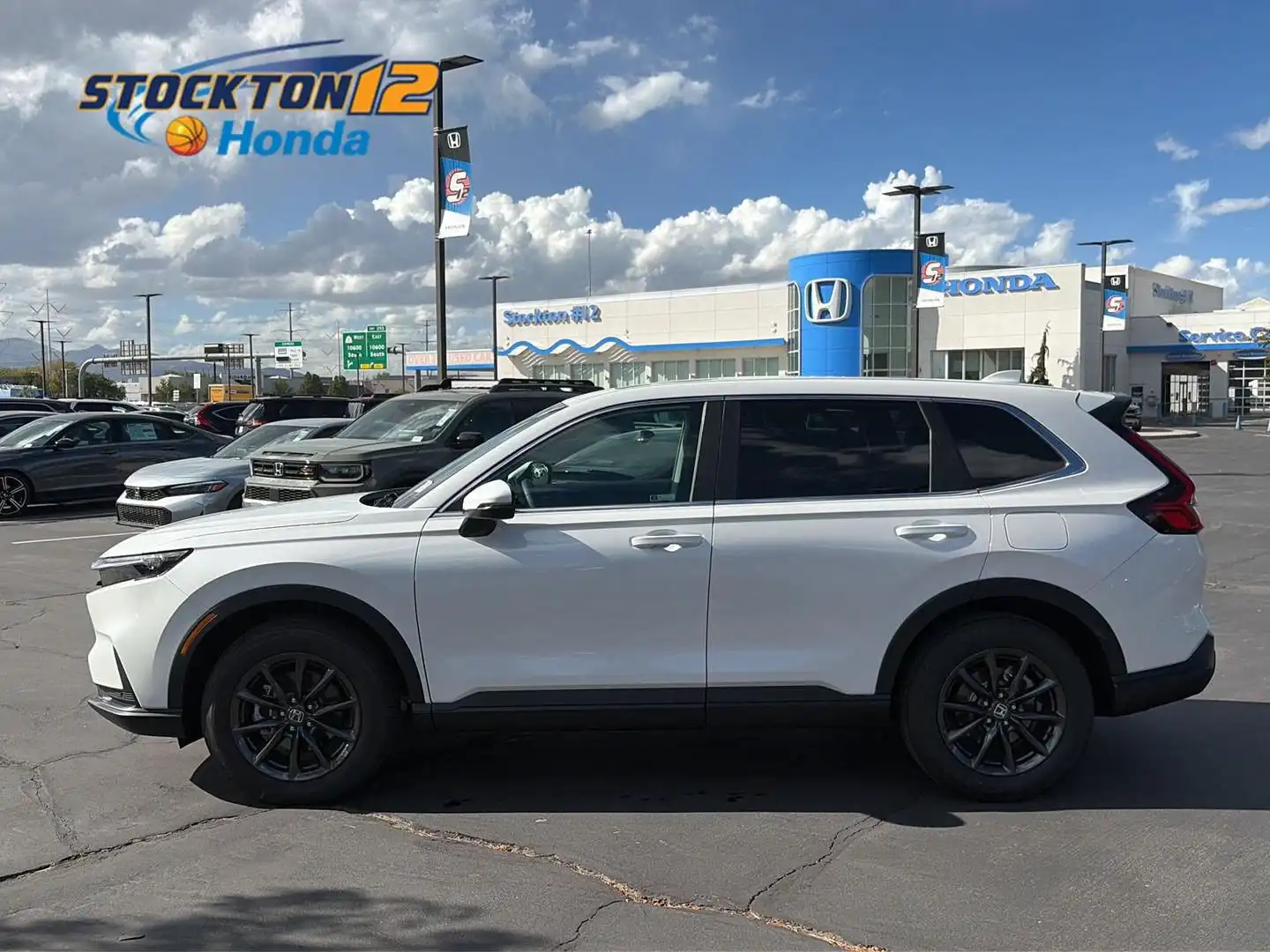2026 Honda CR-V EX-L AWD's photo