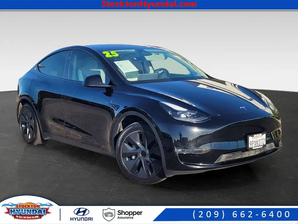 2025 Tesla Model Y Long Range Dual Motor All-Wheel Drive's photo
