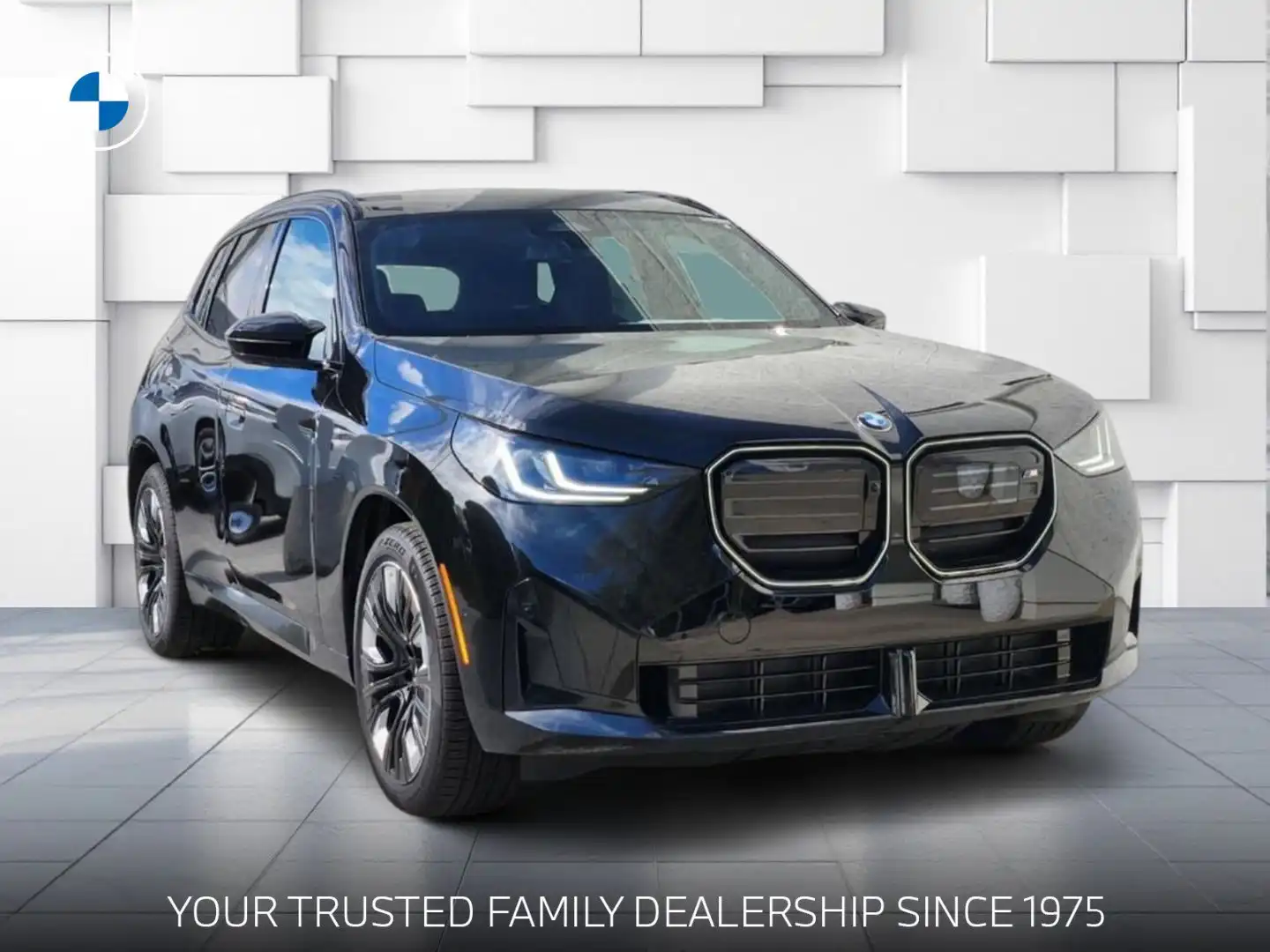 2025 BMW X3 M50 XDRIVE's photo