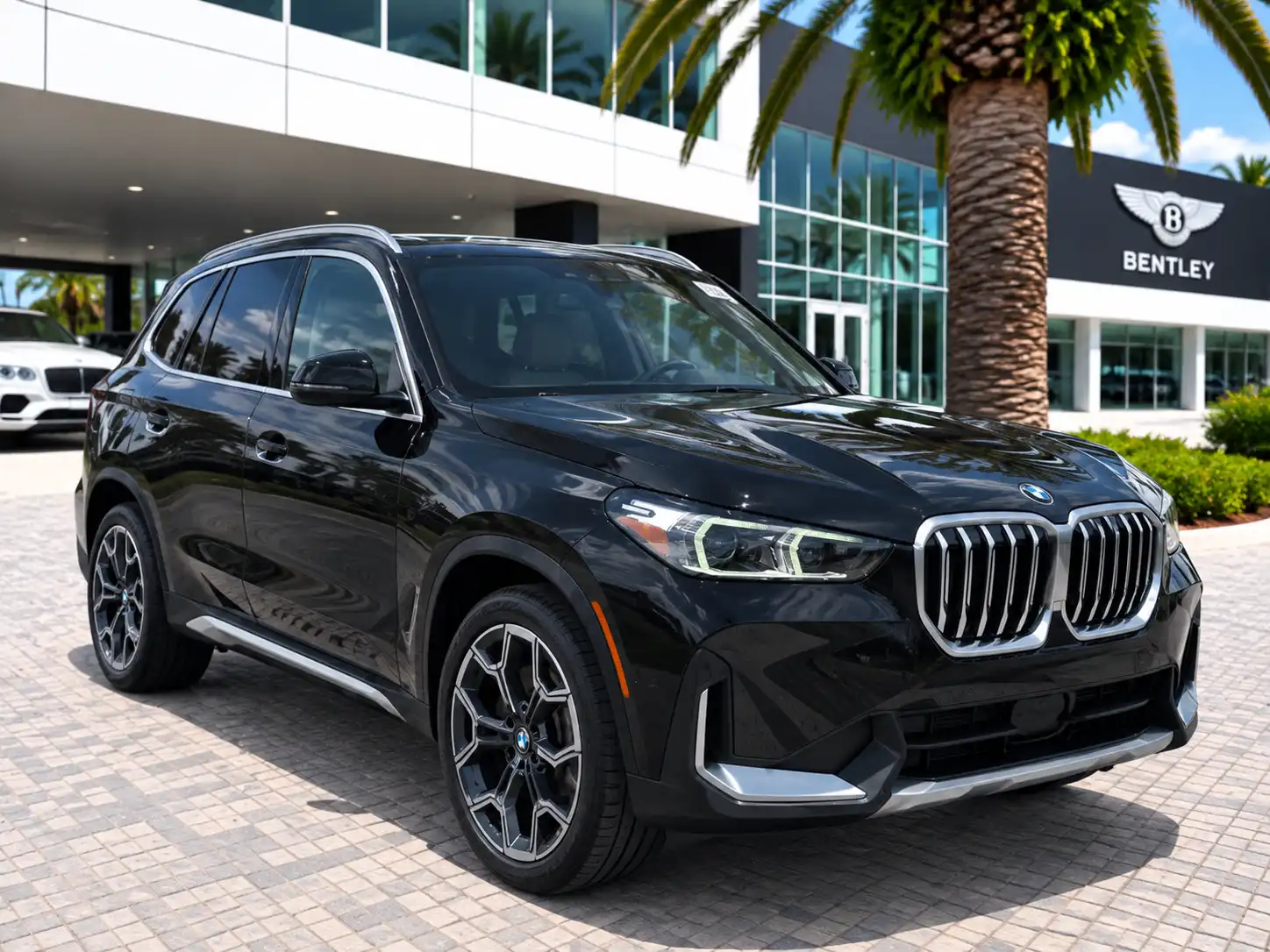 2025 BMW X1 xDrive28i's photo