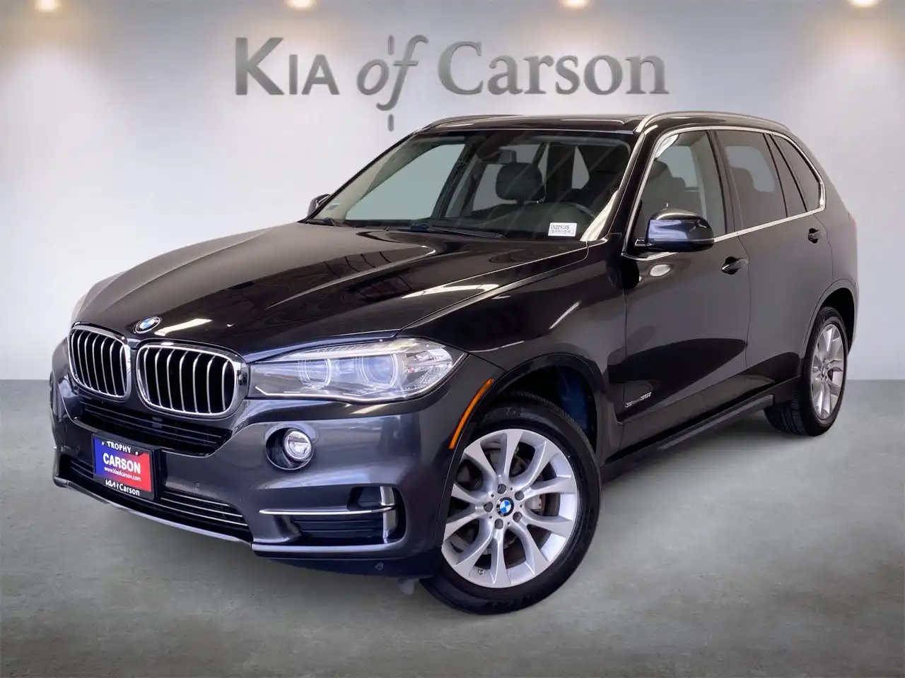 2014 BMW X5 sDrive35i's photo