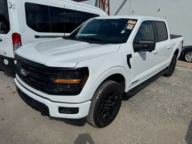 2024 Ford F-150 XLT 4WD SuperCrew 5-1/2' Box's photo