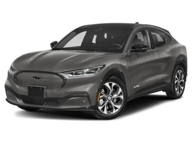 2021 Ford Mustang-Mach-e Premium's photo