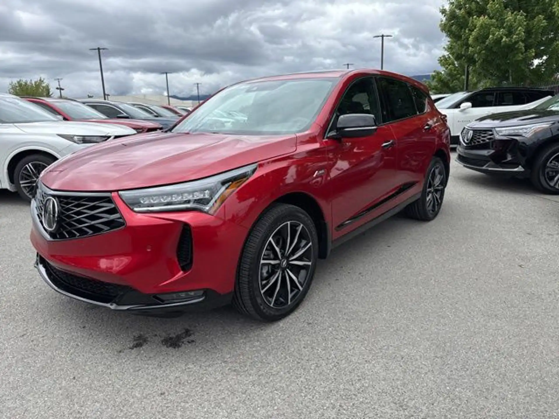 2026 Acura RDX A-Spec w/ Advance Package SH-AWD's photo