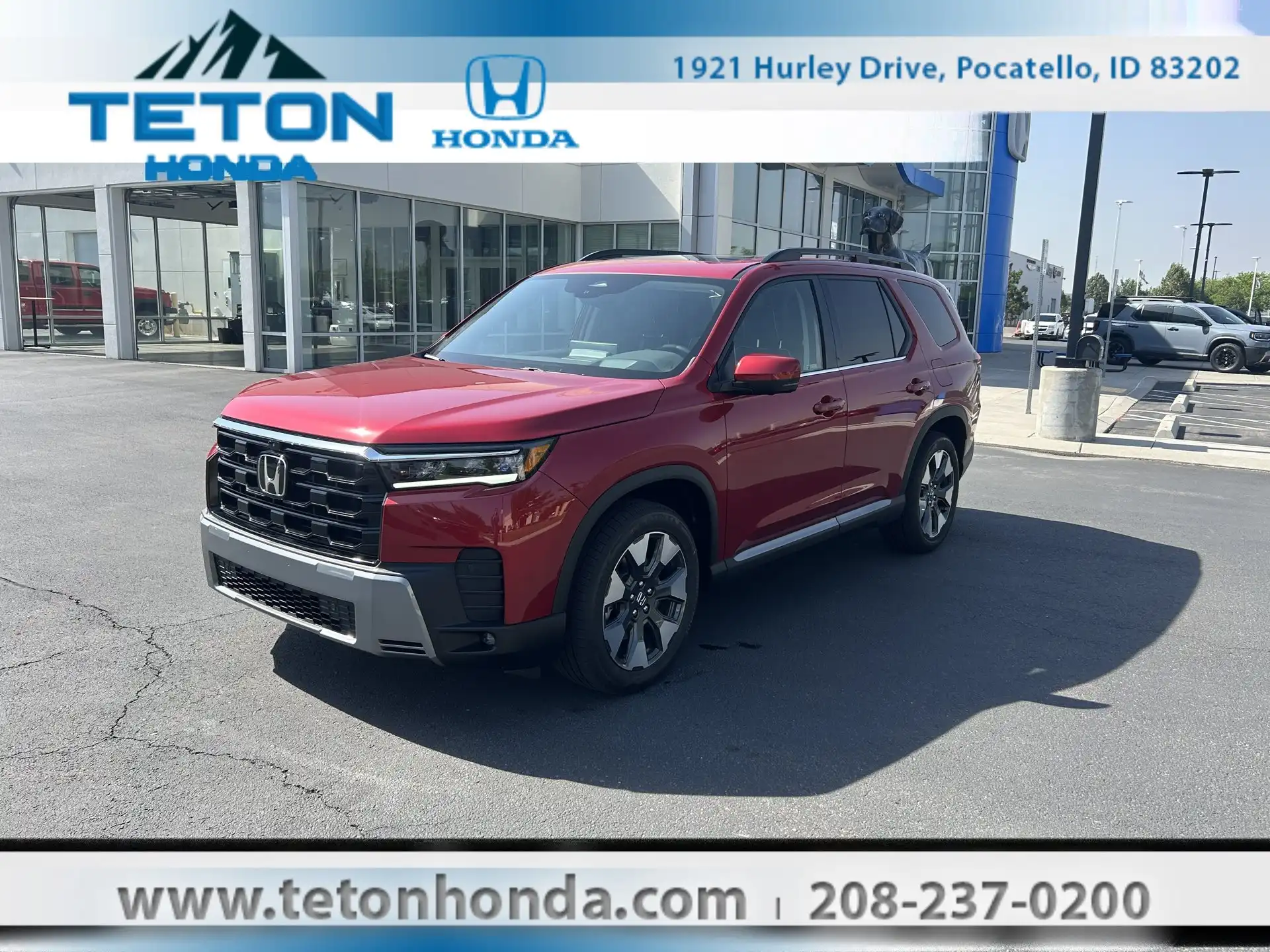 2026 Honda Pilot Elite AWD's photo