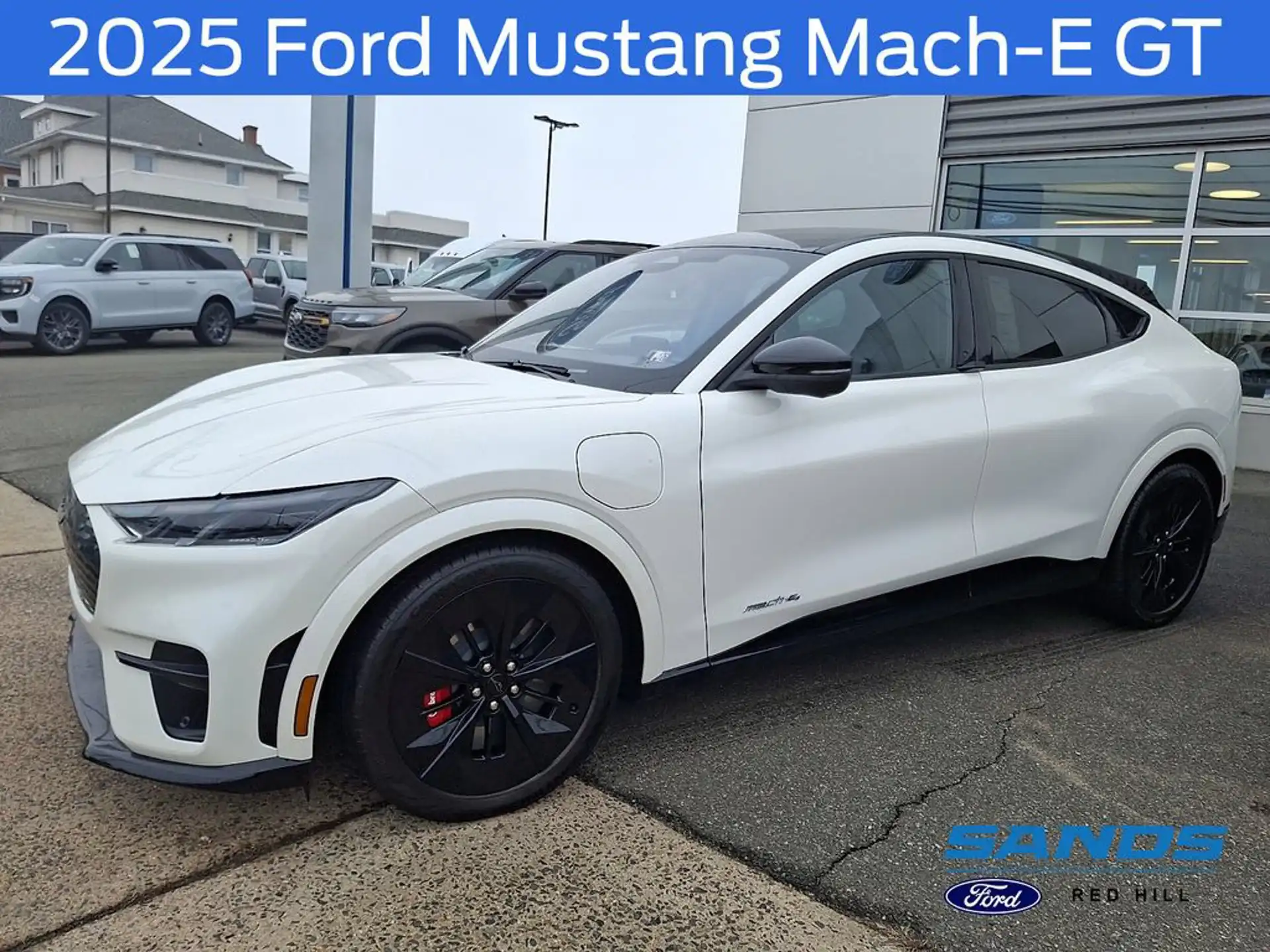 2025 Ford Mustang-Mach-e GT's photo