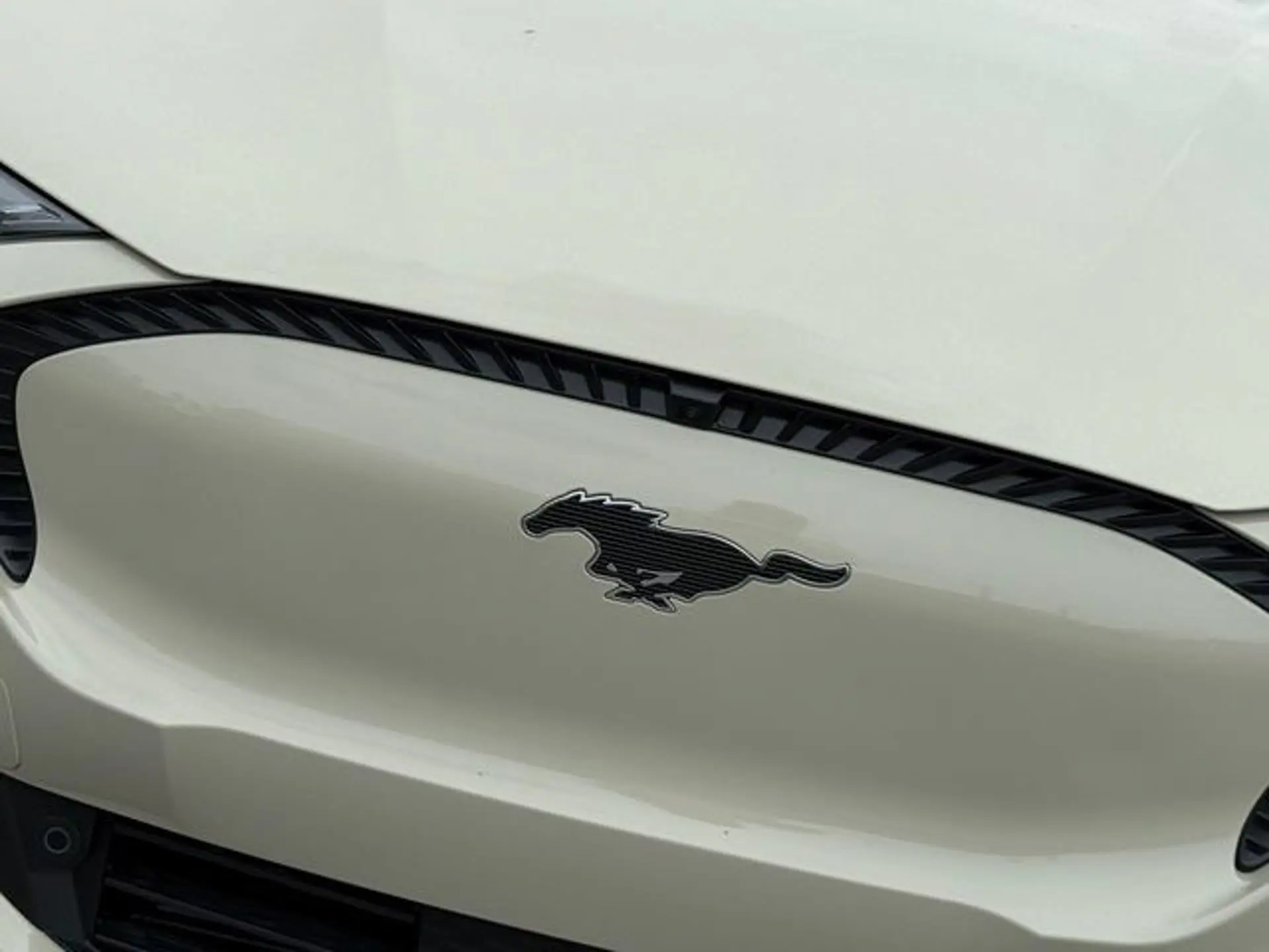2026 Ford Mustang-Mach-e Select photo 3