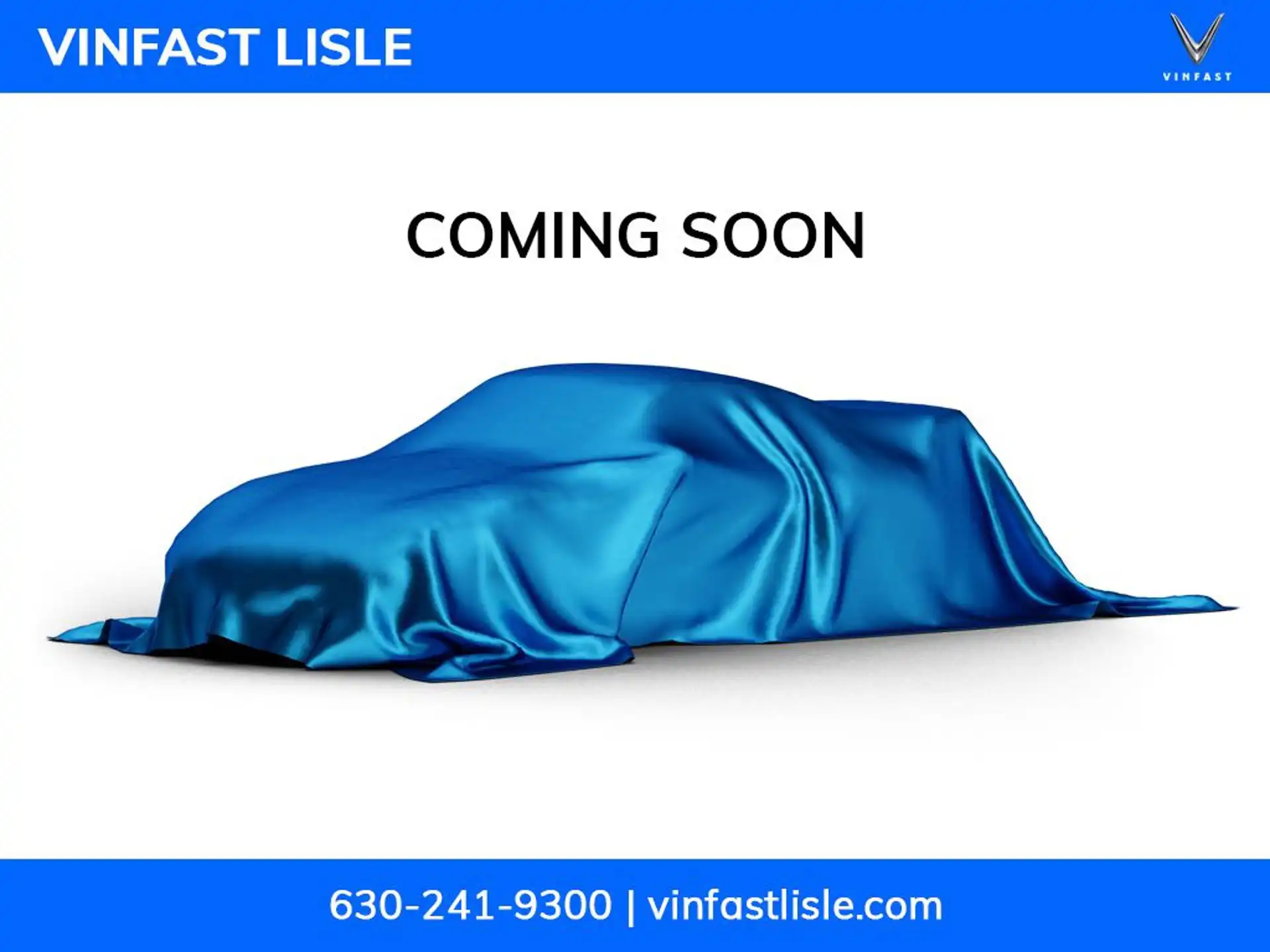 2025 VinFast VF 8 VF 8 Plus Standard Range's photo