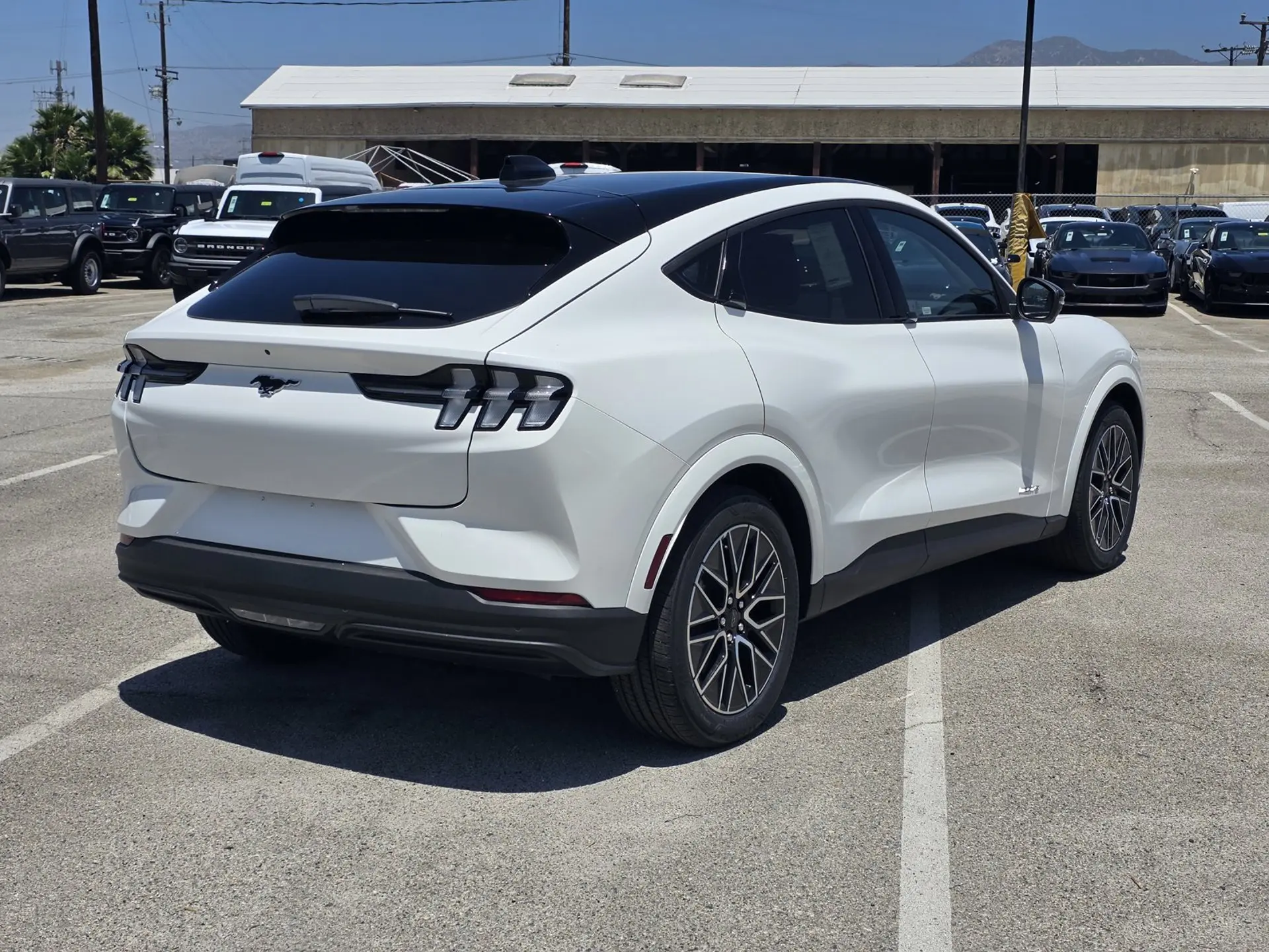 2026 Ford Mustang-Mach-e Premium photo 4