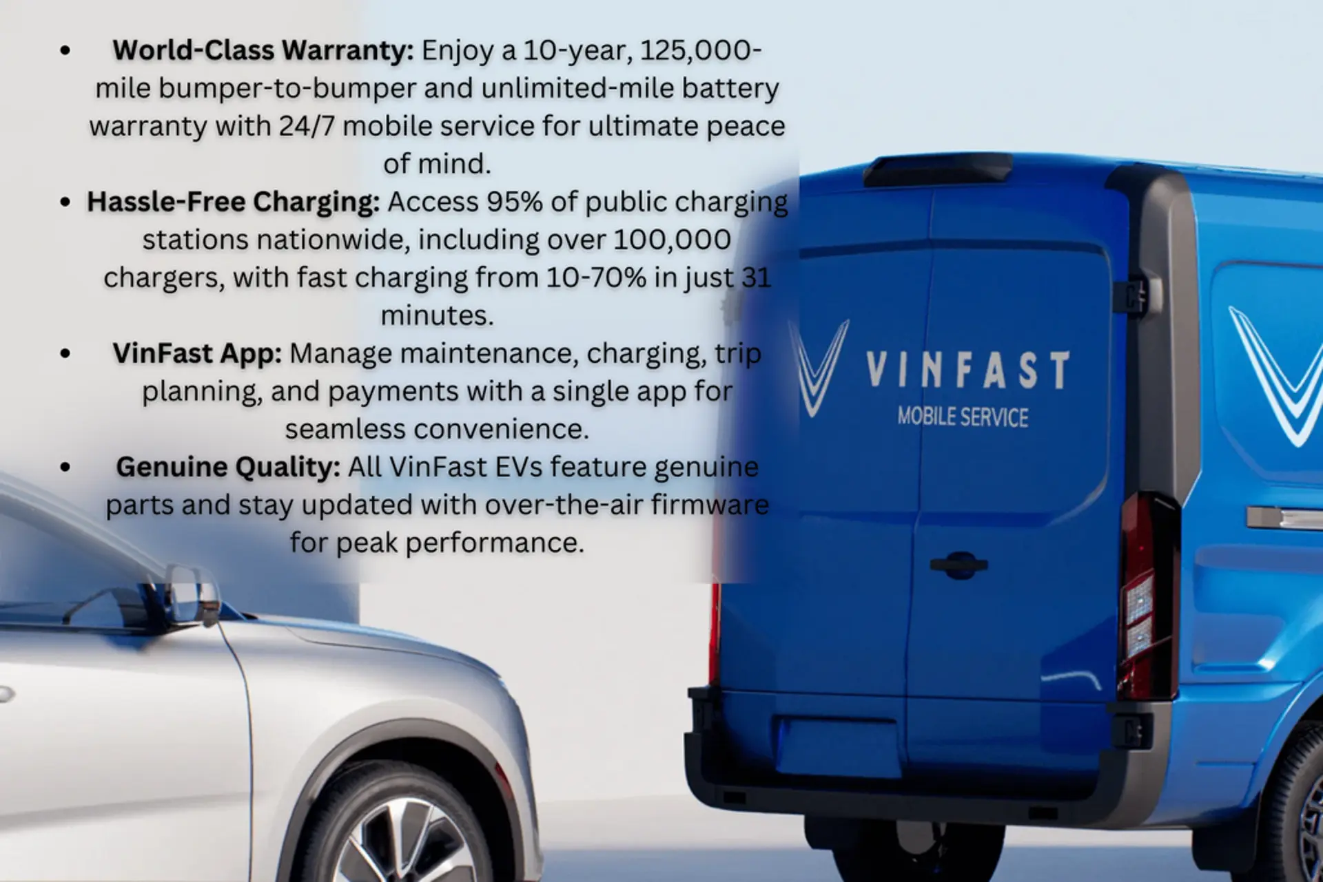 2025 VinFast VF 8 VF 8 Plus Standard Range photo 4