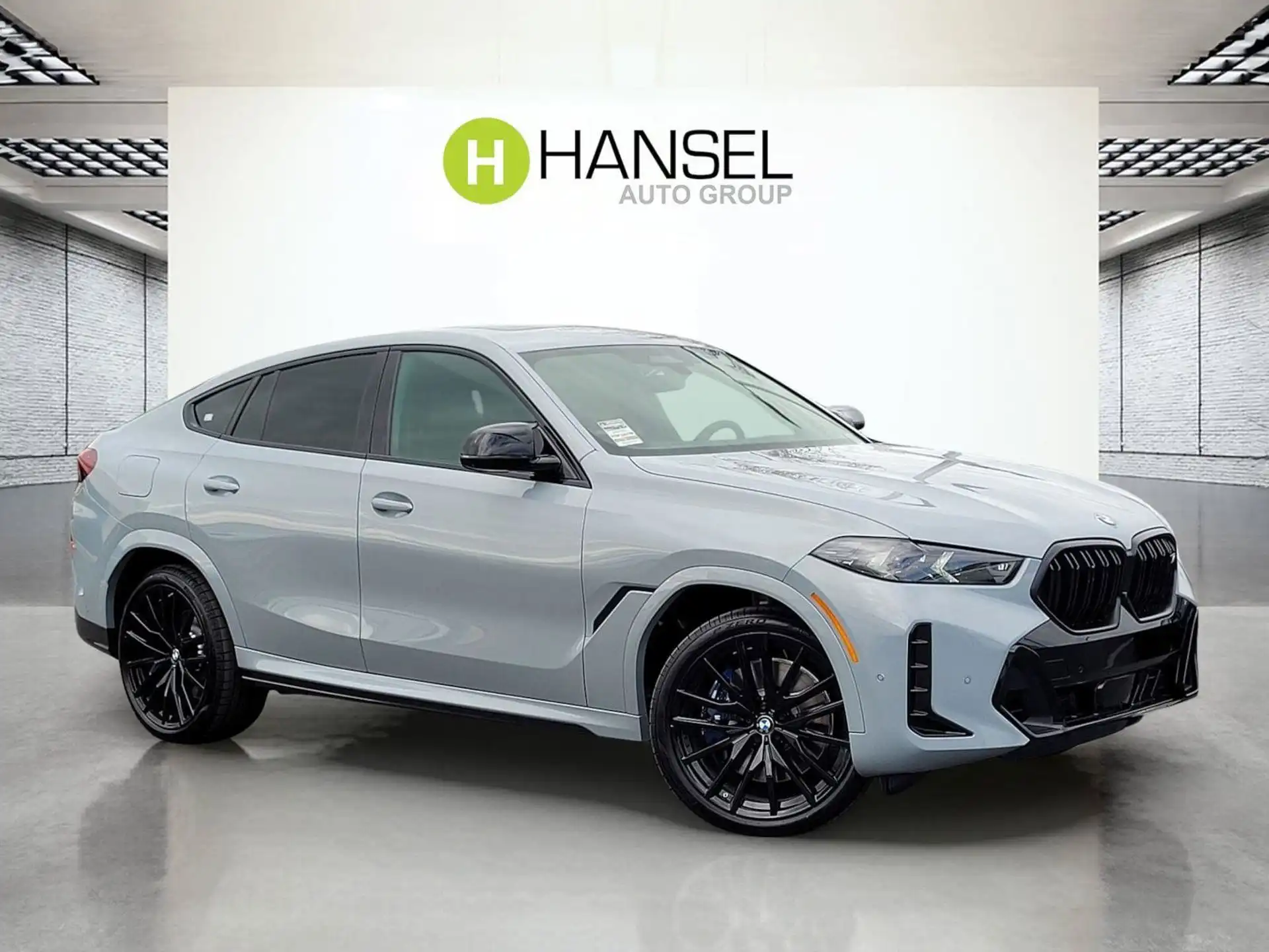 2026 BMW X6 M60i's photo