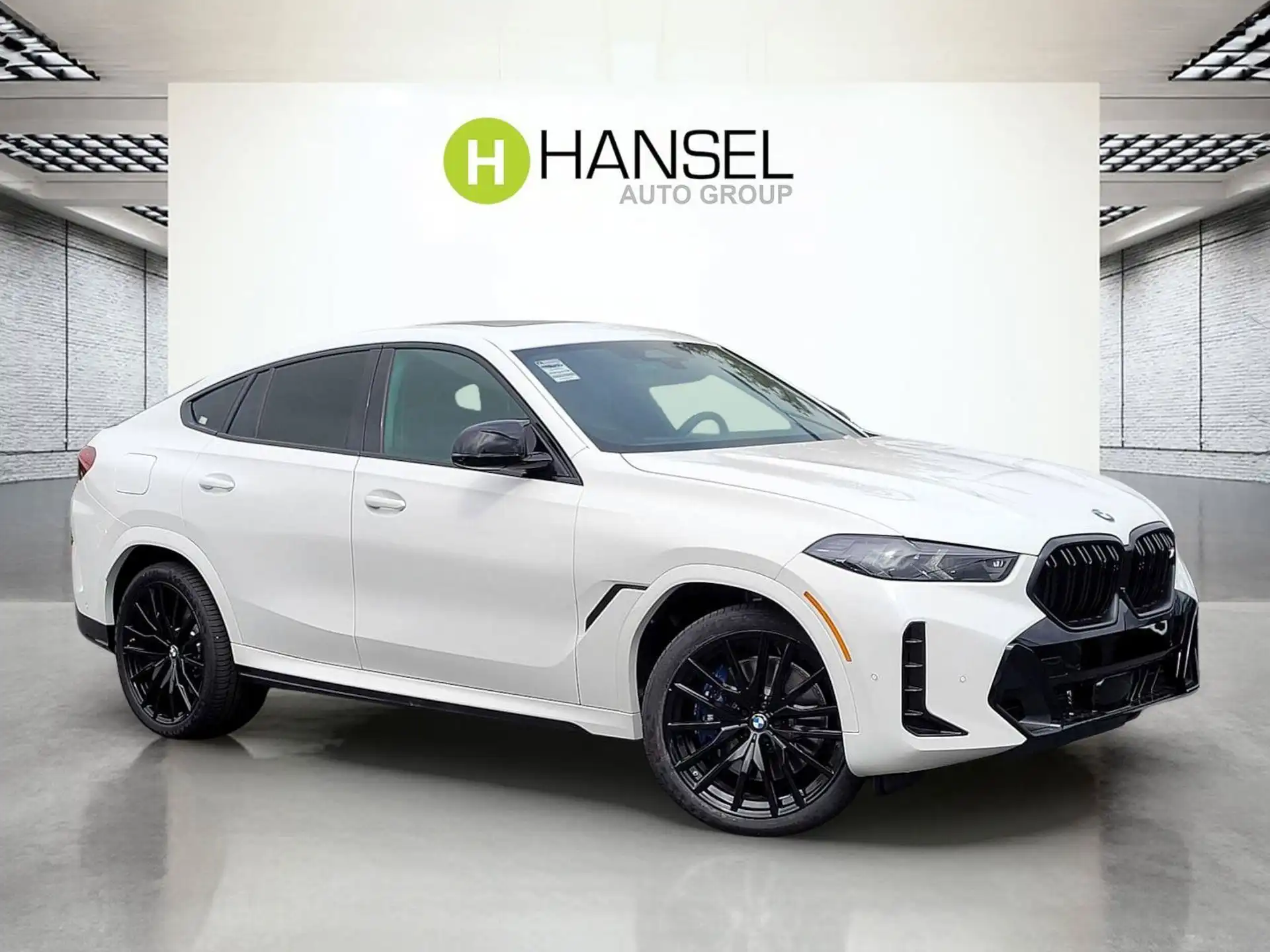 2026 BMW X6 M60i's photo