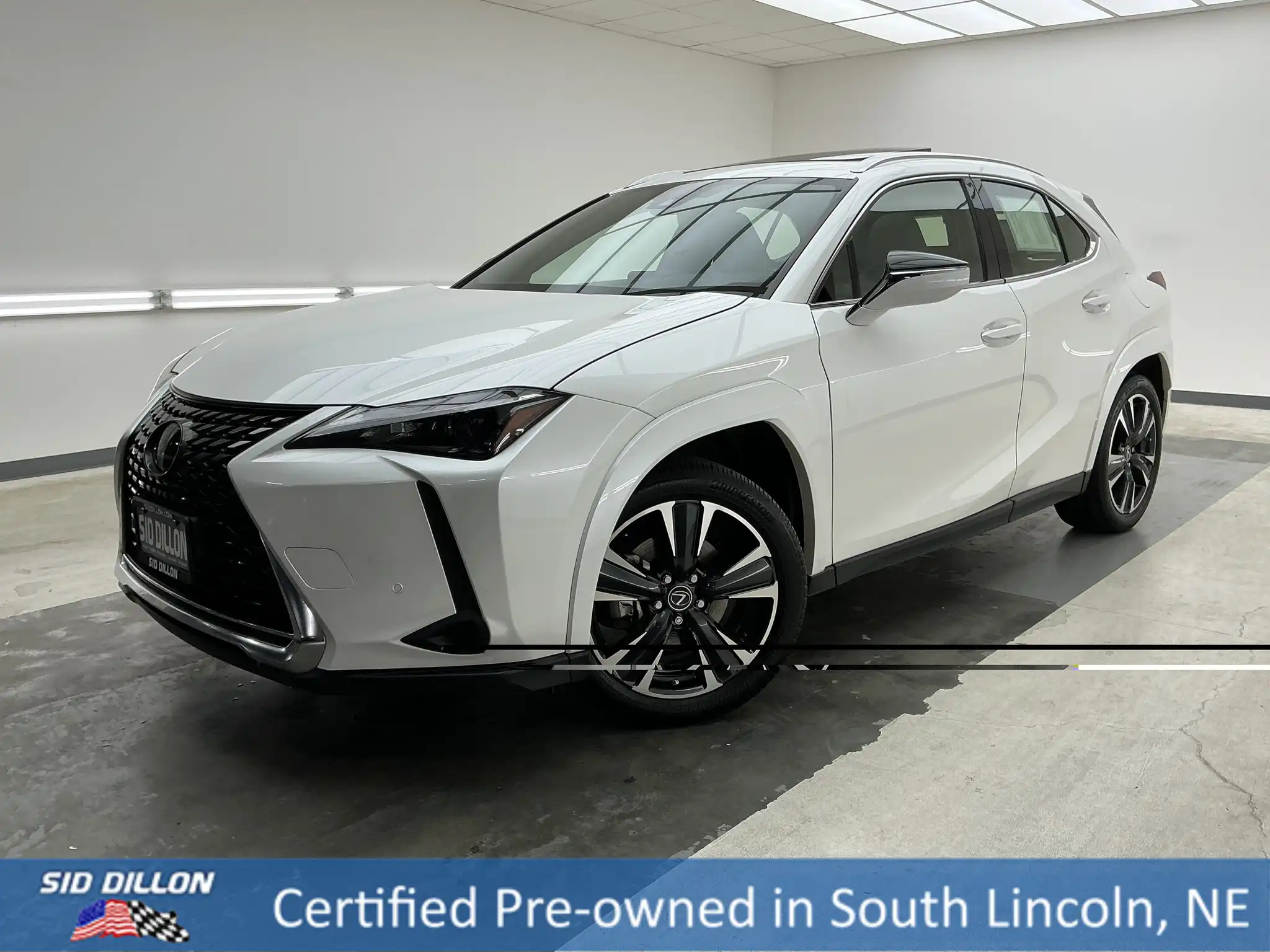 2024 Lexus UX 300h 250h Premium AWD's photo
