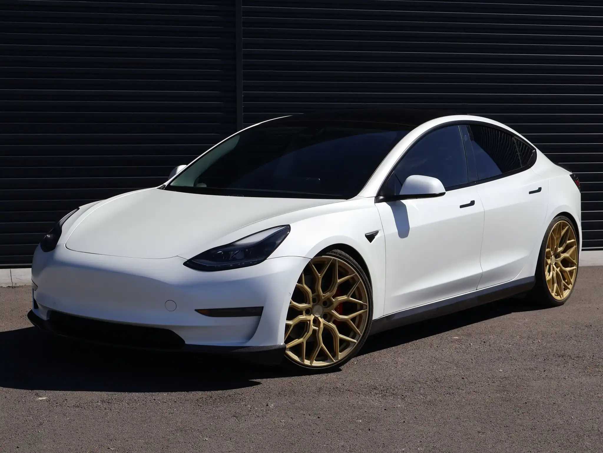 2021 Tesla Model 3 Performance Dual Motor AWD's photo