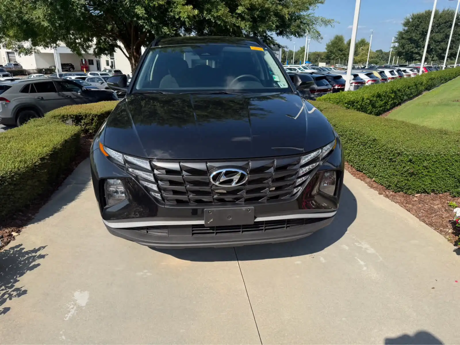 2023 Hyundai Tucson SEL AWD's photo