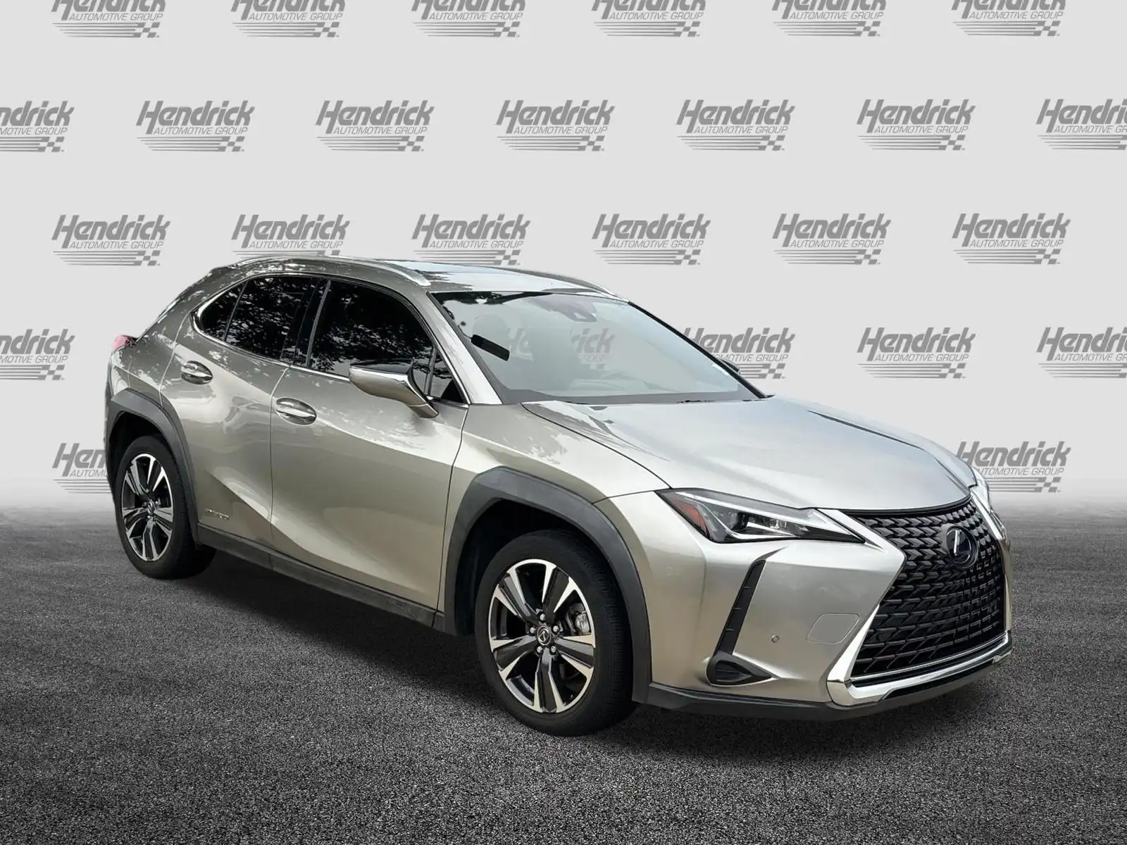 2021 Lexus UX 300h 250h AWD's photo