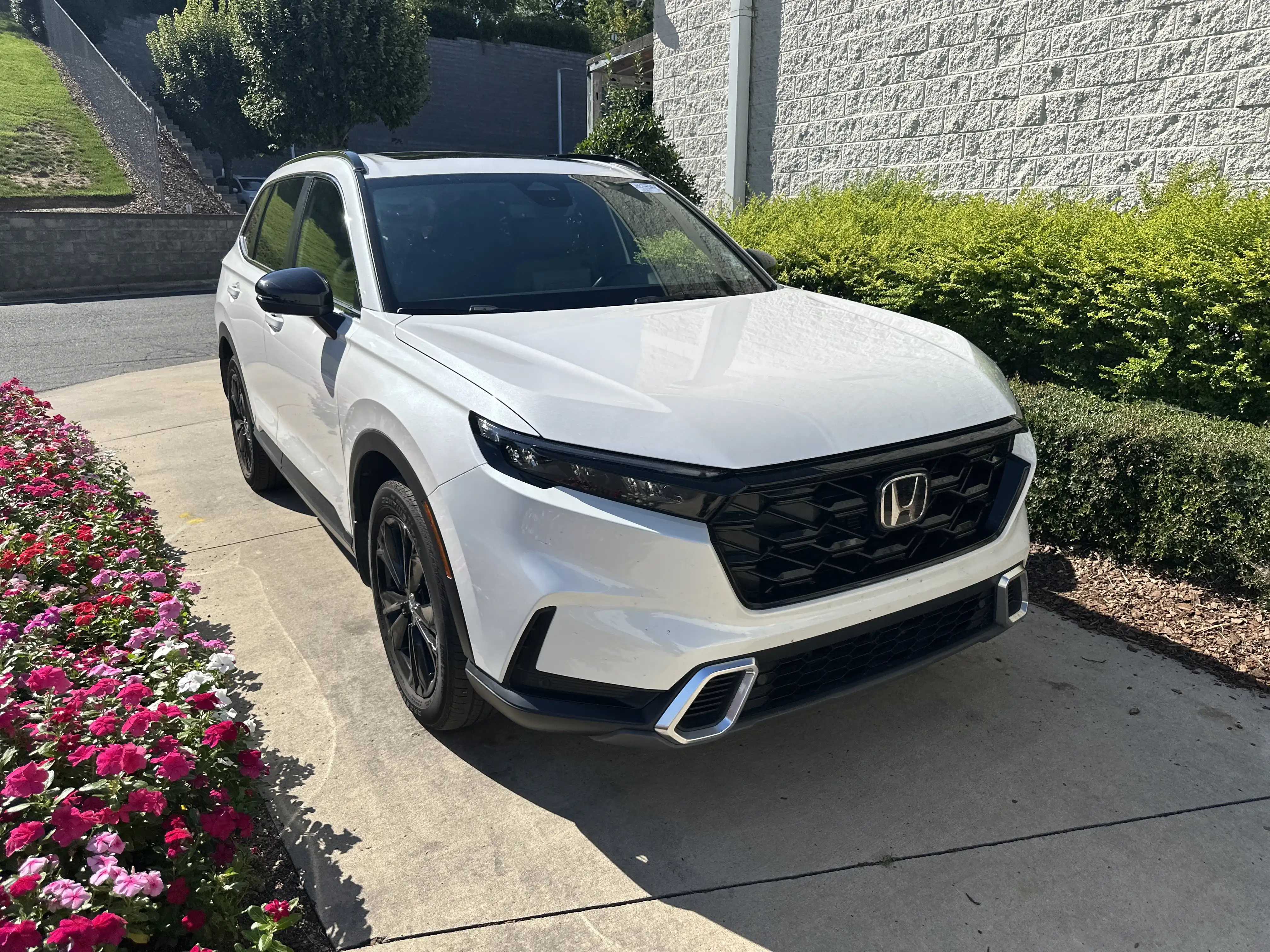 2020 Honda Pilot 2WD EX-L's photo