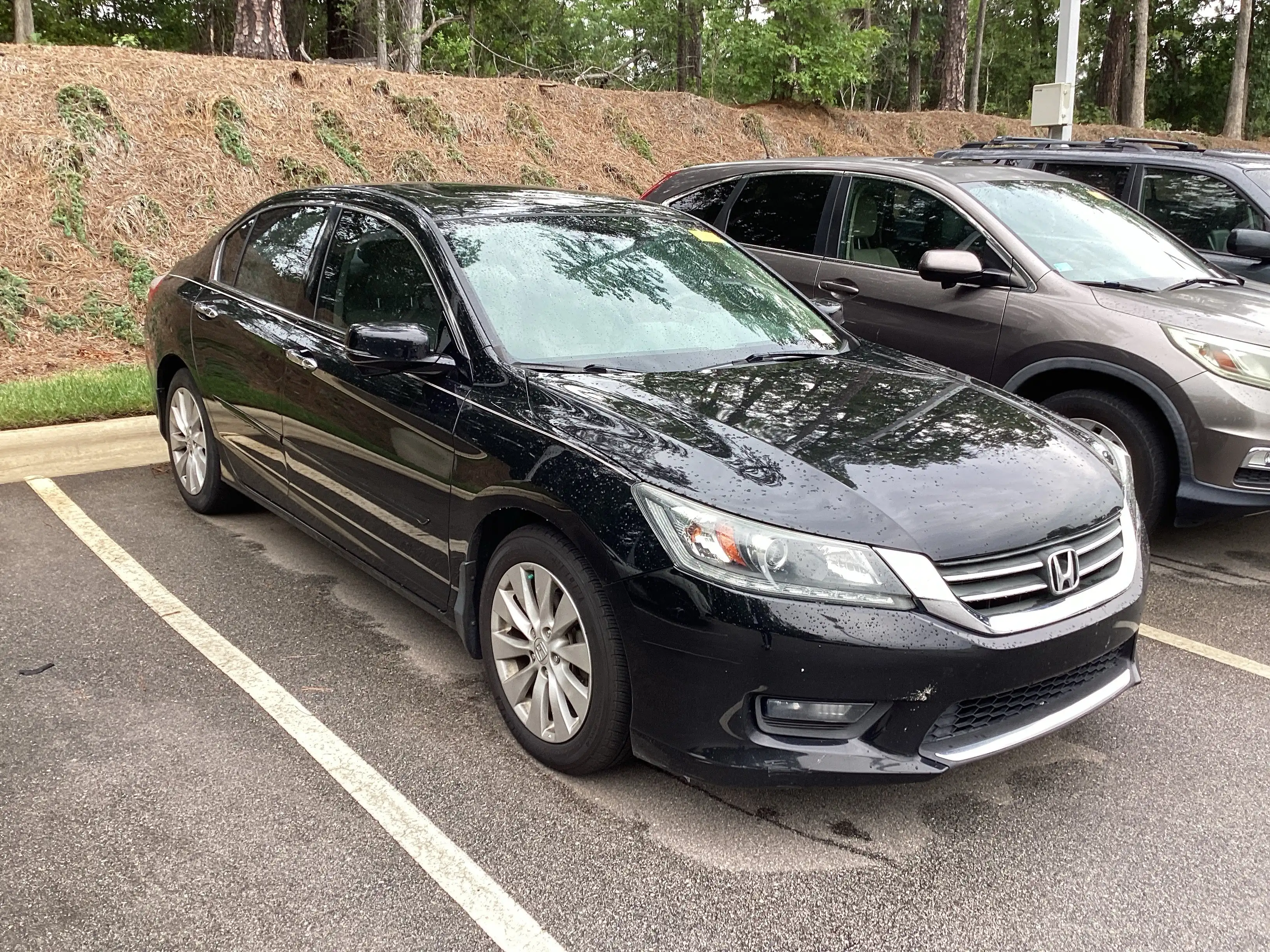 2015 Honda Accord EX-L V-6 Auto's photo