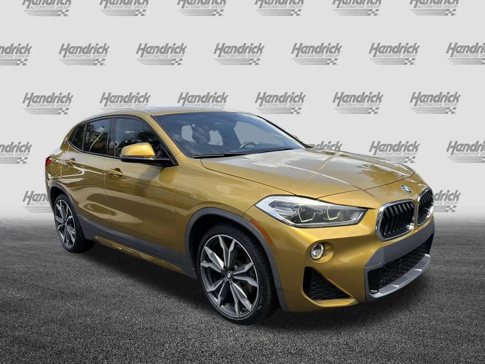 2018 BMW X2 xDrive28i's photo