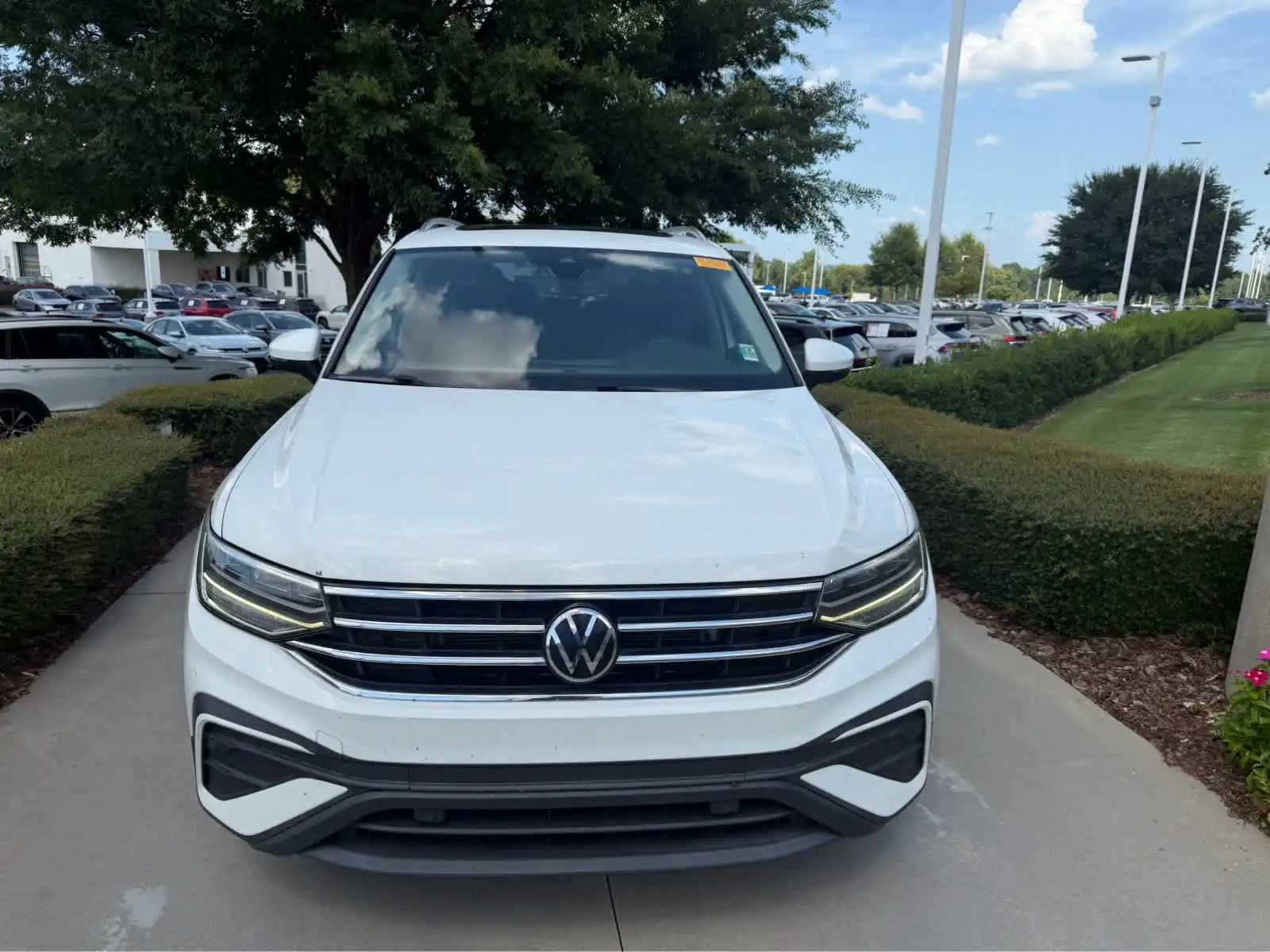 2022 Volkswagen Tiguan 2.0T SE's photo