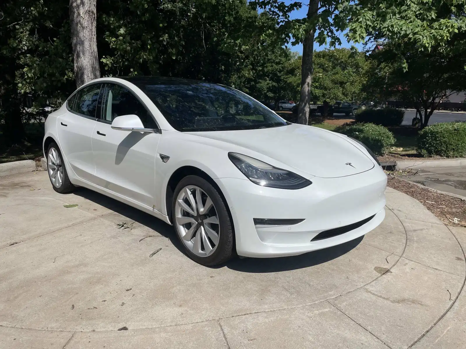 2019 Tesla Model 3 Standard Range Plus's photo