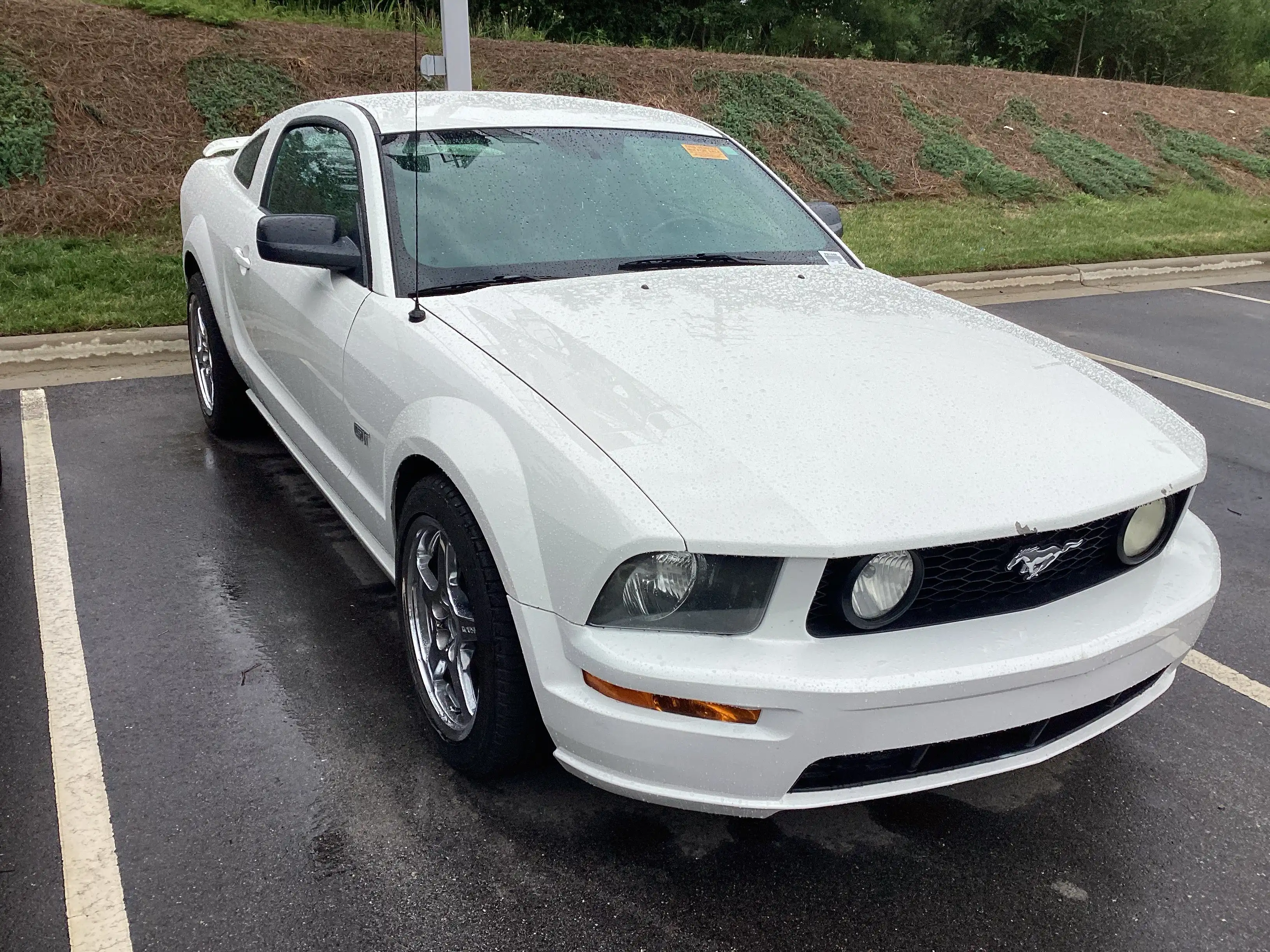 2006 Ford Mustang GT Deluxe's photo
