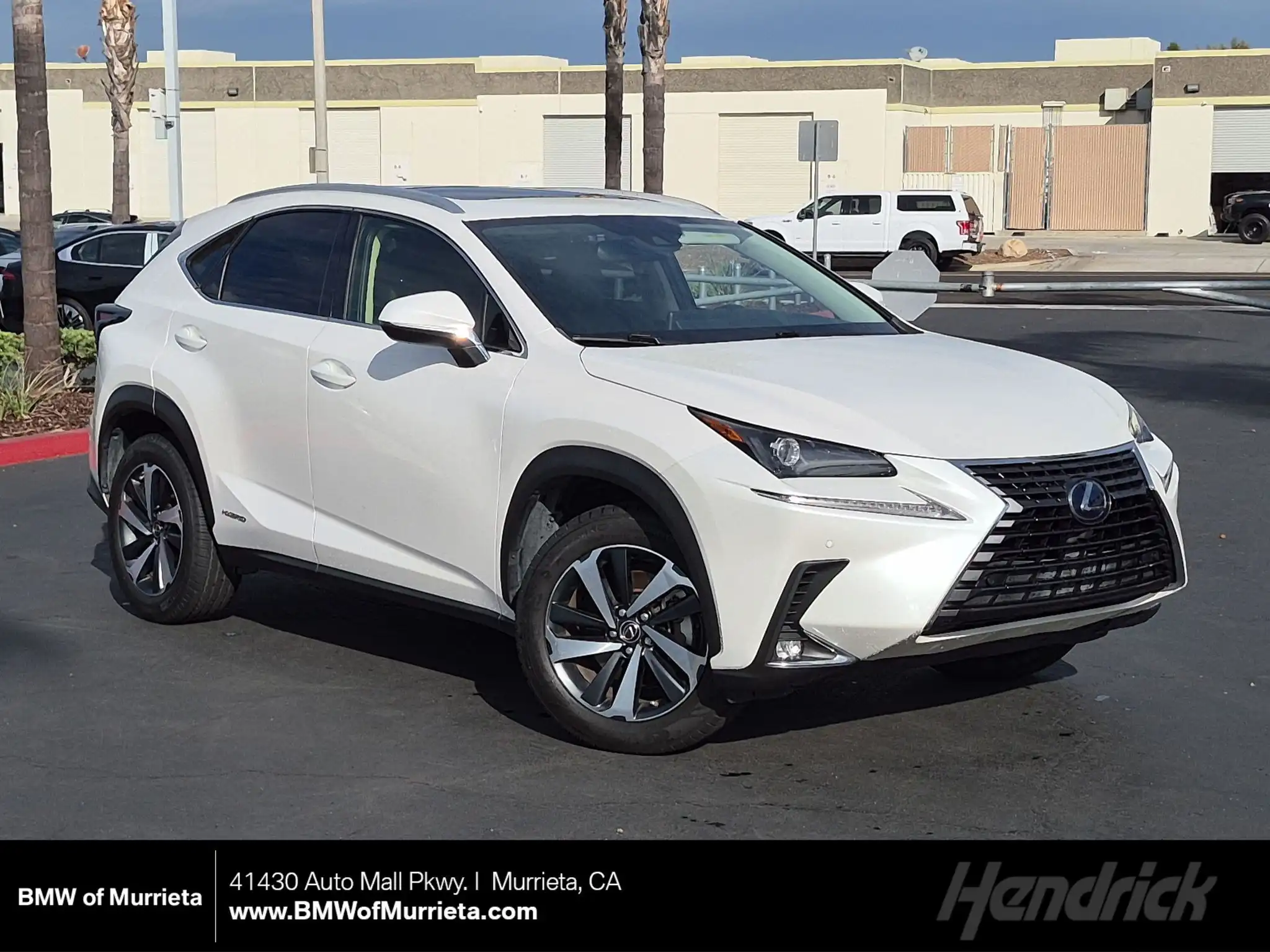 2021 Lexus NX 350h 300h AWD's photo