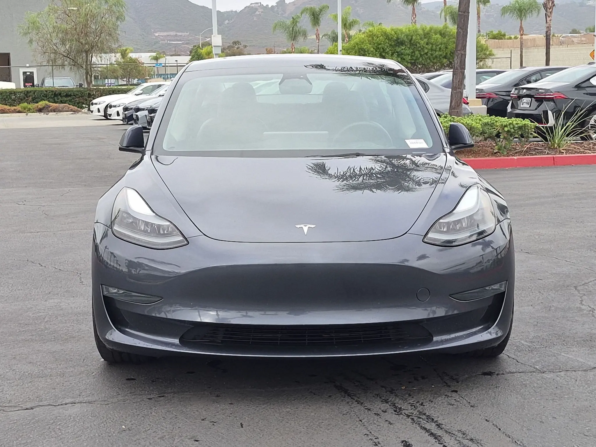 2023 Tesla Model 3 Performance photo 3