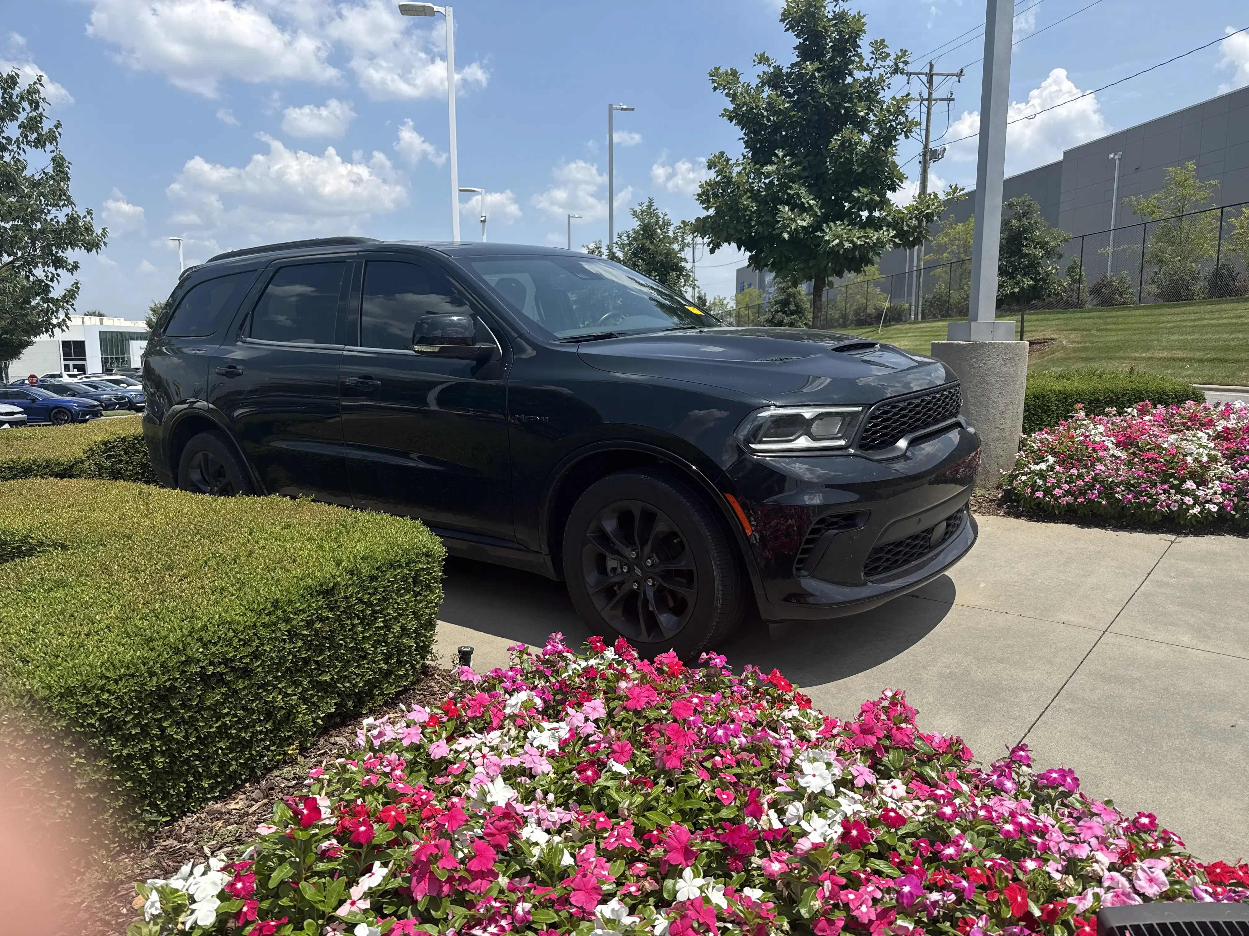 2024 Dodge Durango R/T Plus RWD's photo