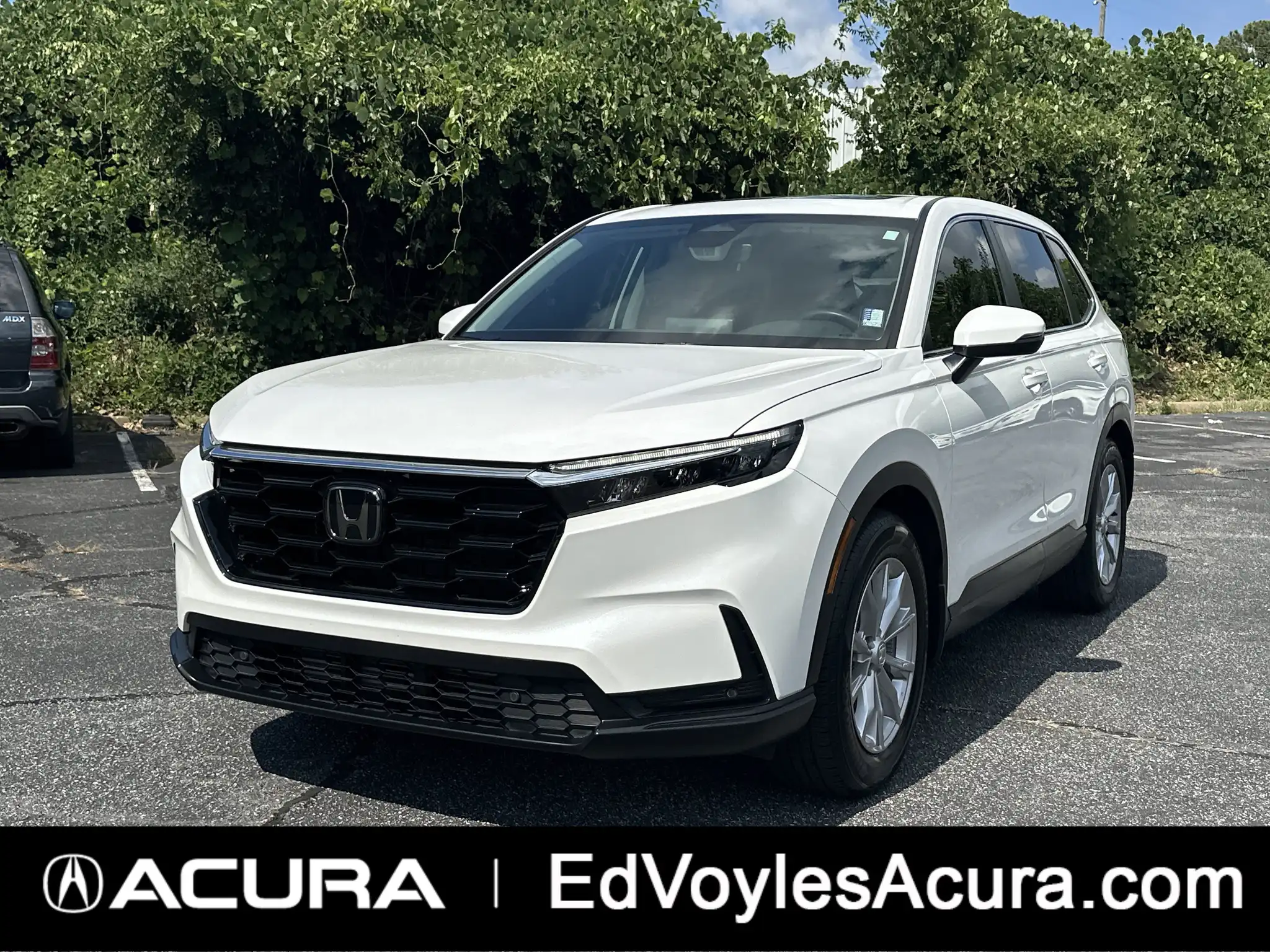 2025 Honda CR-V EX-L 2WD's photo