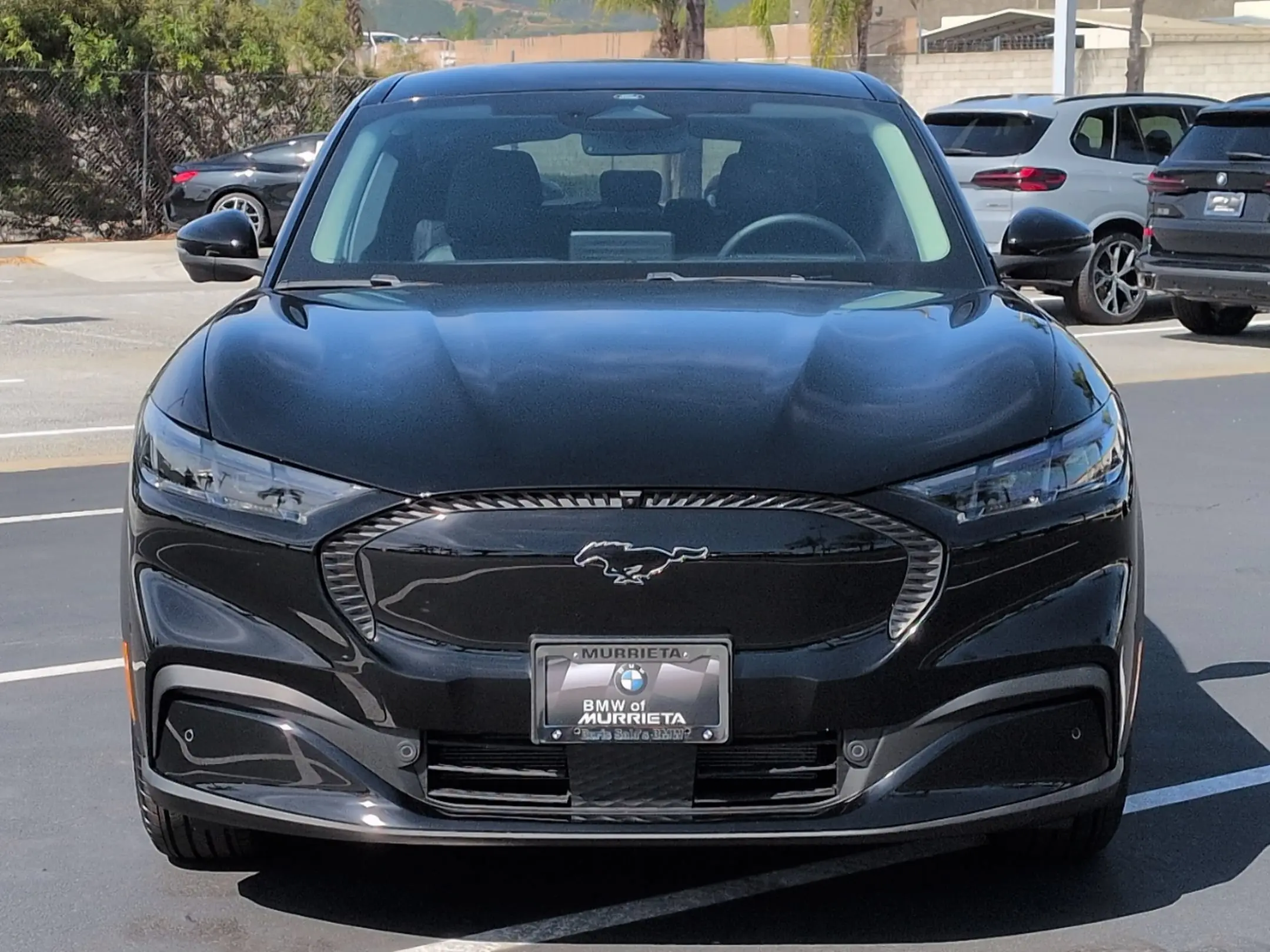 2024 Ford Mustang-Mach-e Select photo 3
