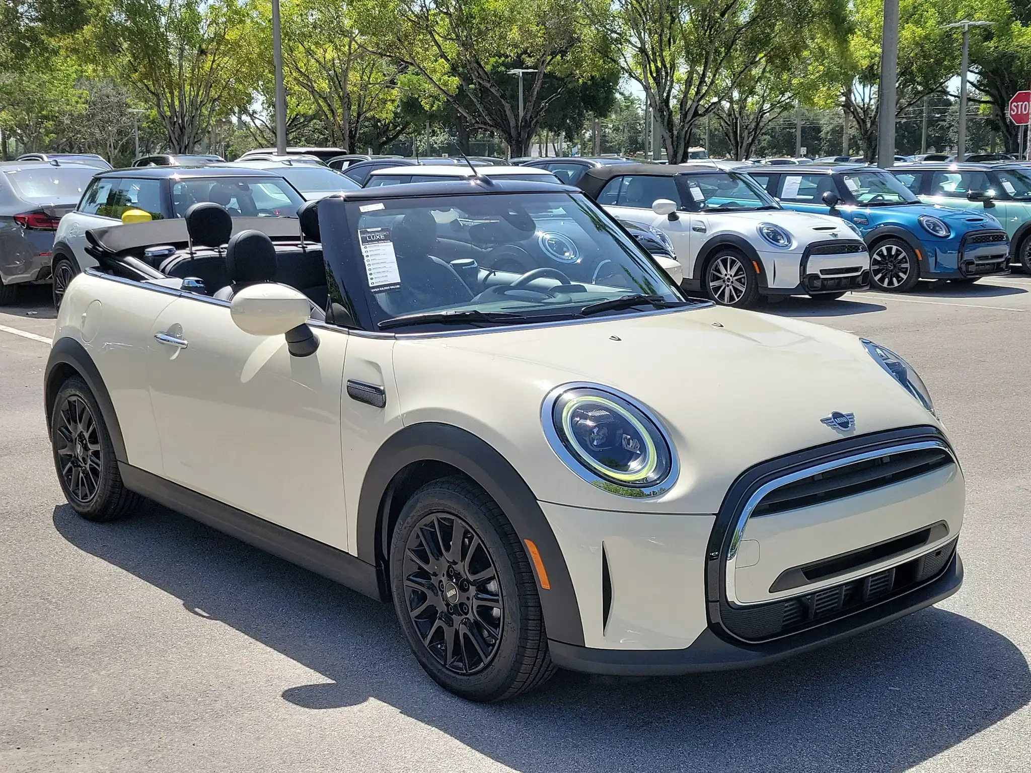 2023 MINI Convertible Cooper's photo
