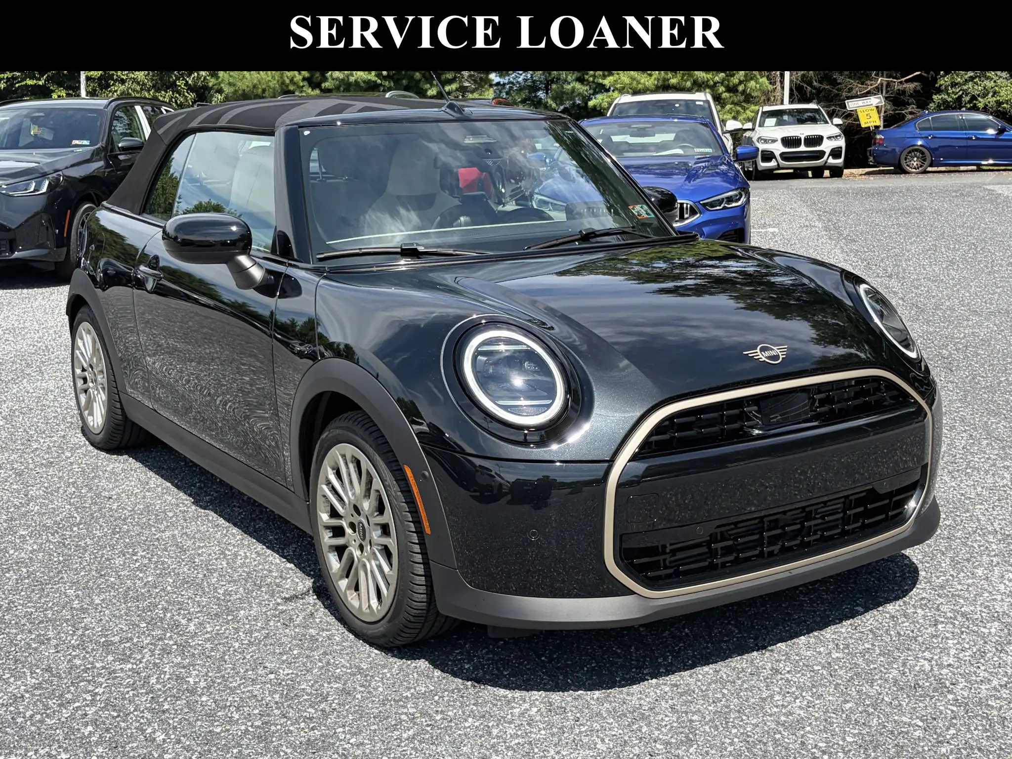 2026 MINI Convertible Cooper Signature's photo