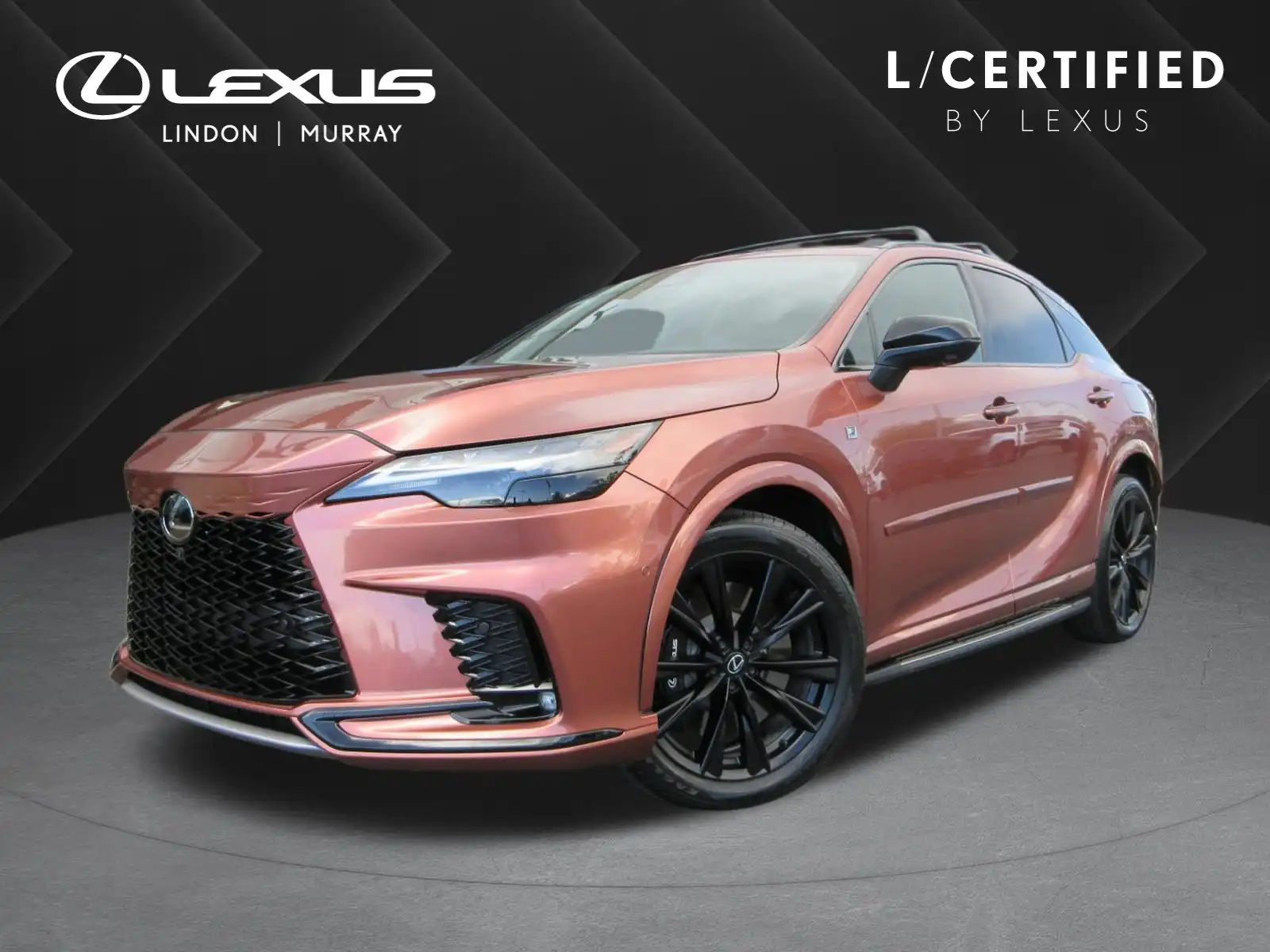 2023 Lexus RX 350h 500h F SPORT AWD's photo