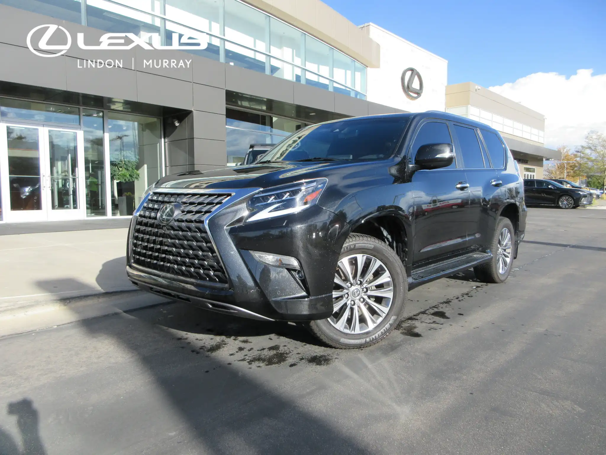 2022 Lexus GX 460 460 Luxury's photo